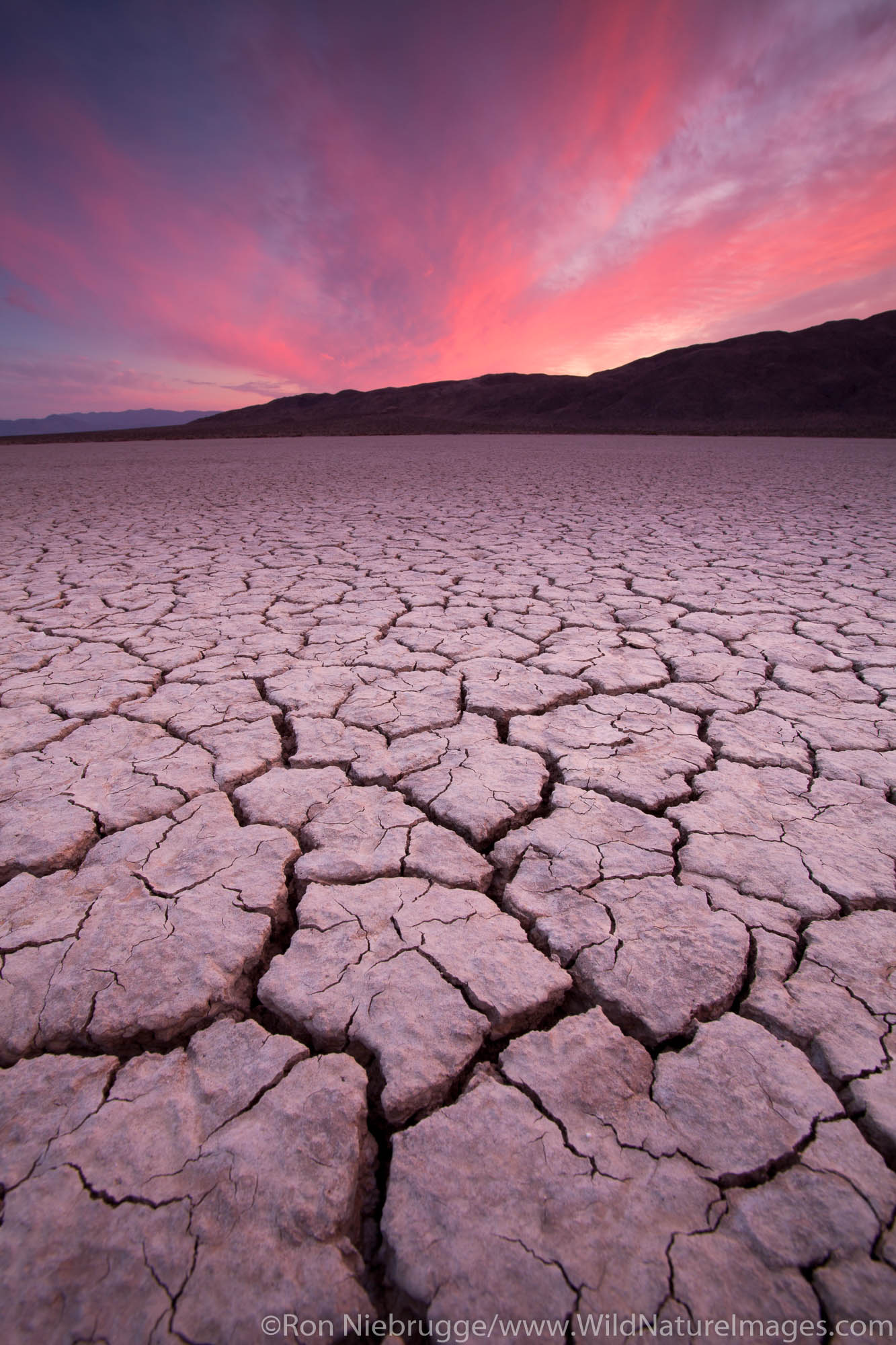 Dry lake bed, Anza-Borrego Desert State Park, California.