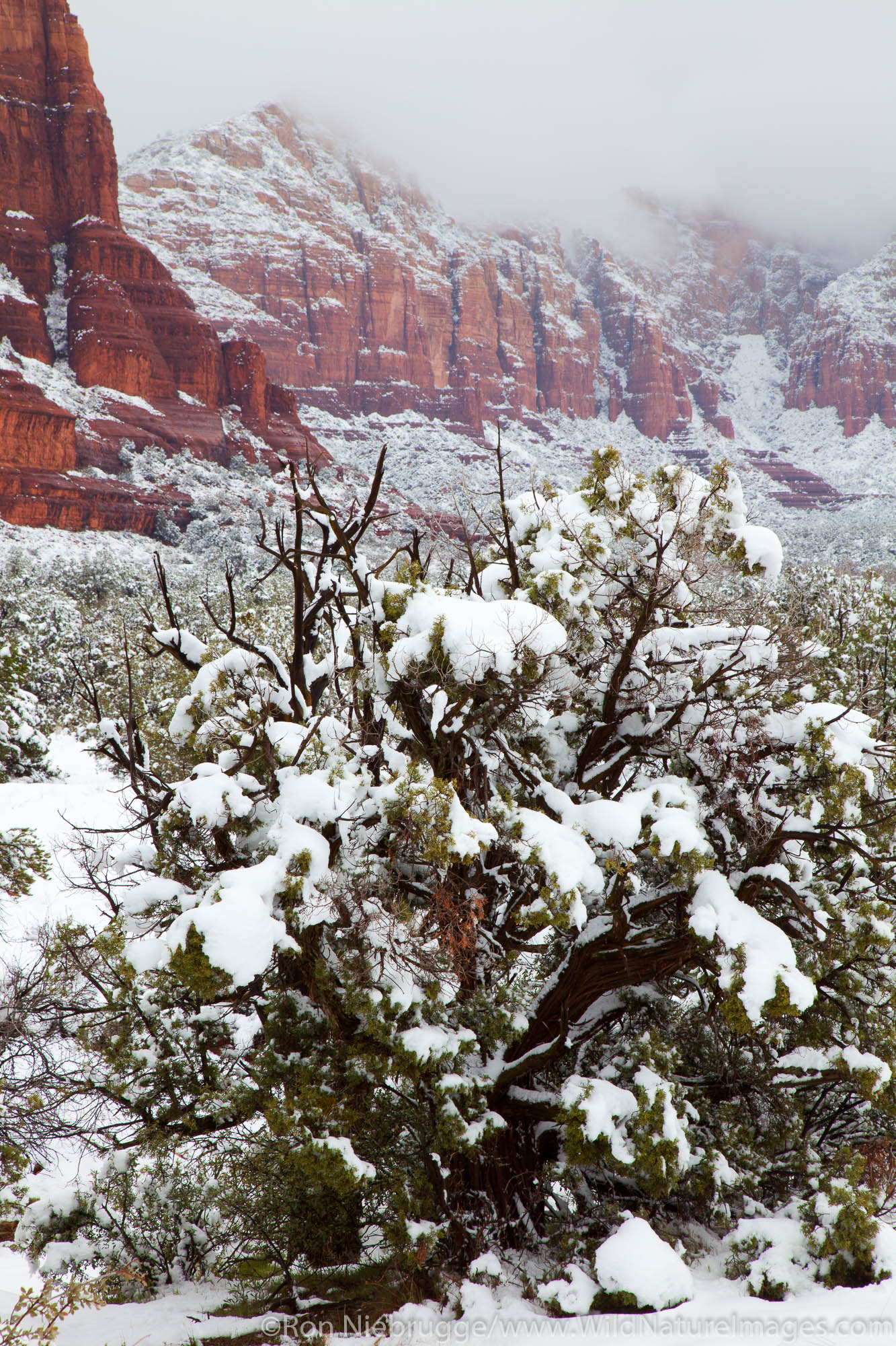 Winter snow, Sedona, Arizona.