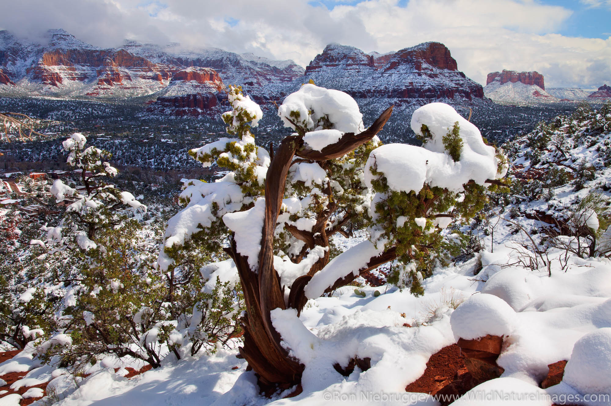 Winter snow, Sedona, Arizona.