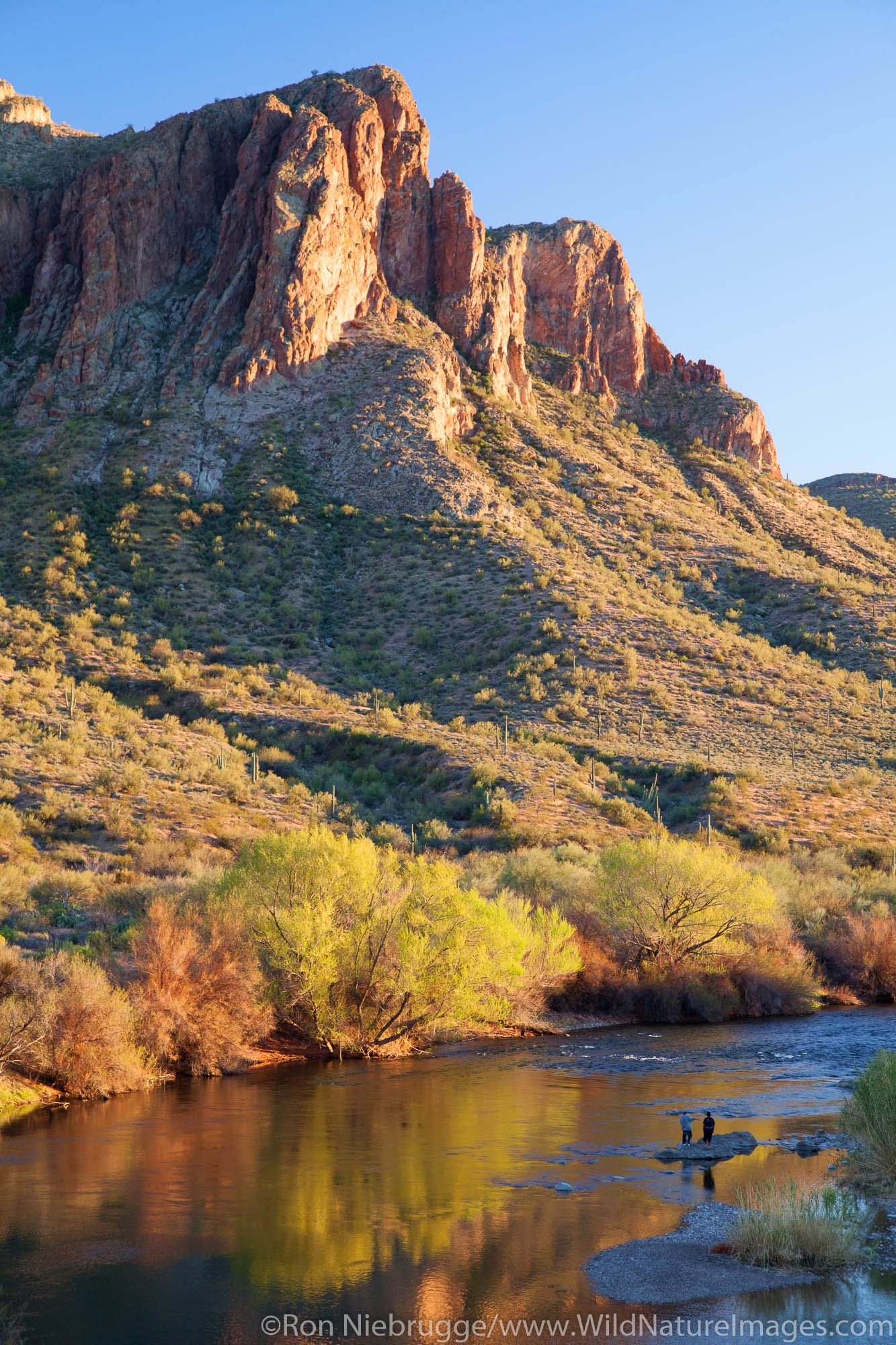 The Salt River, Tonto National Forest, East of Phoenix, Arizona.