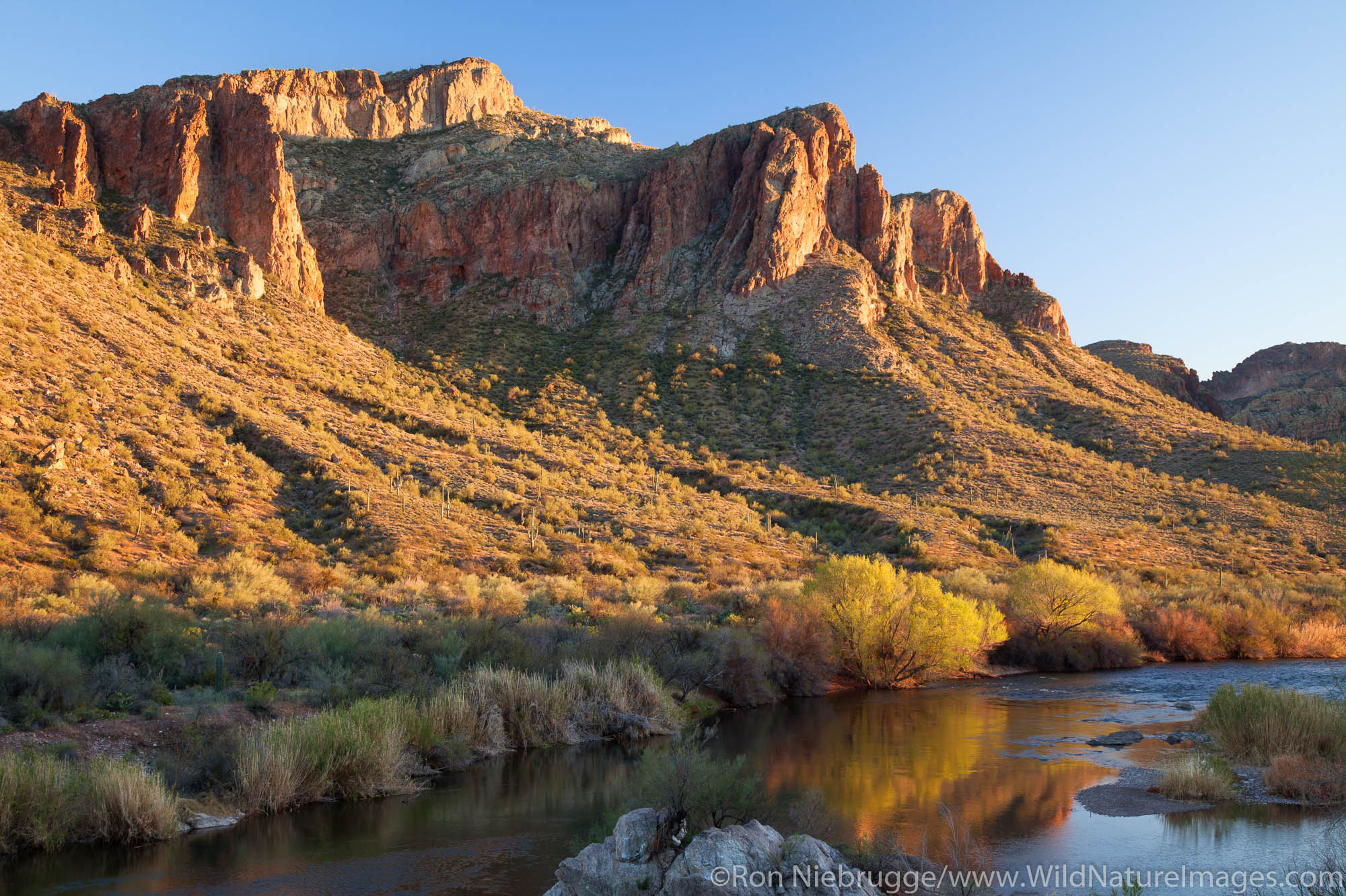 The Salt River, Tonto National Forest, East of Phoenix, Arizona.