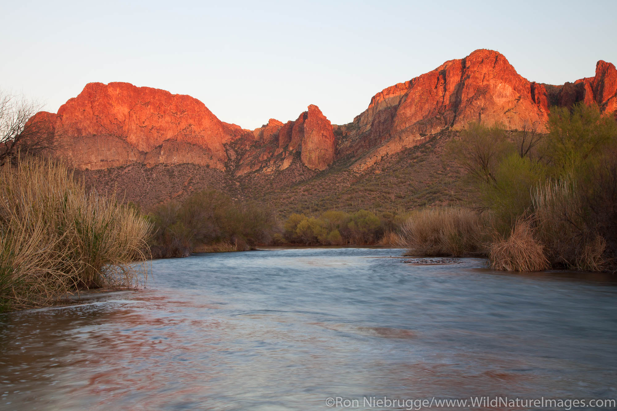 The Salt River, Tonto National Forest, East of Phoenix, Arizona.