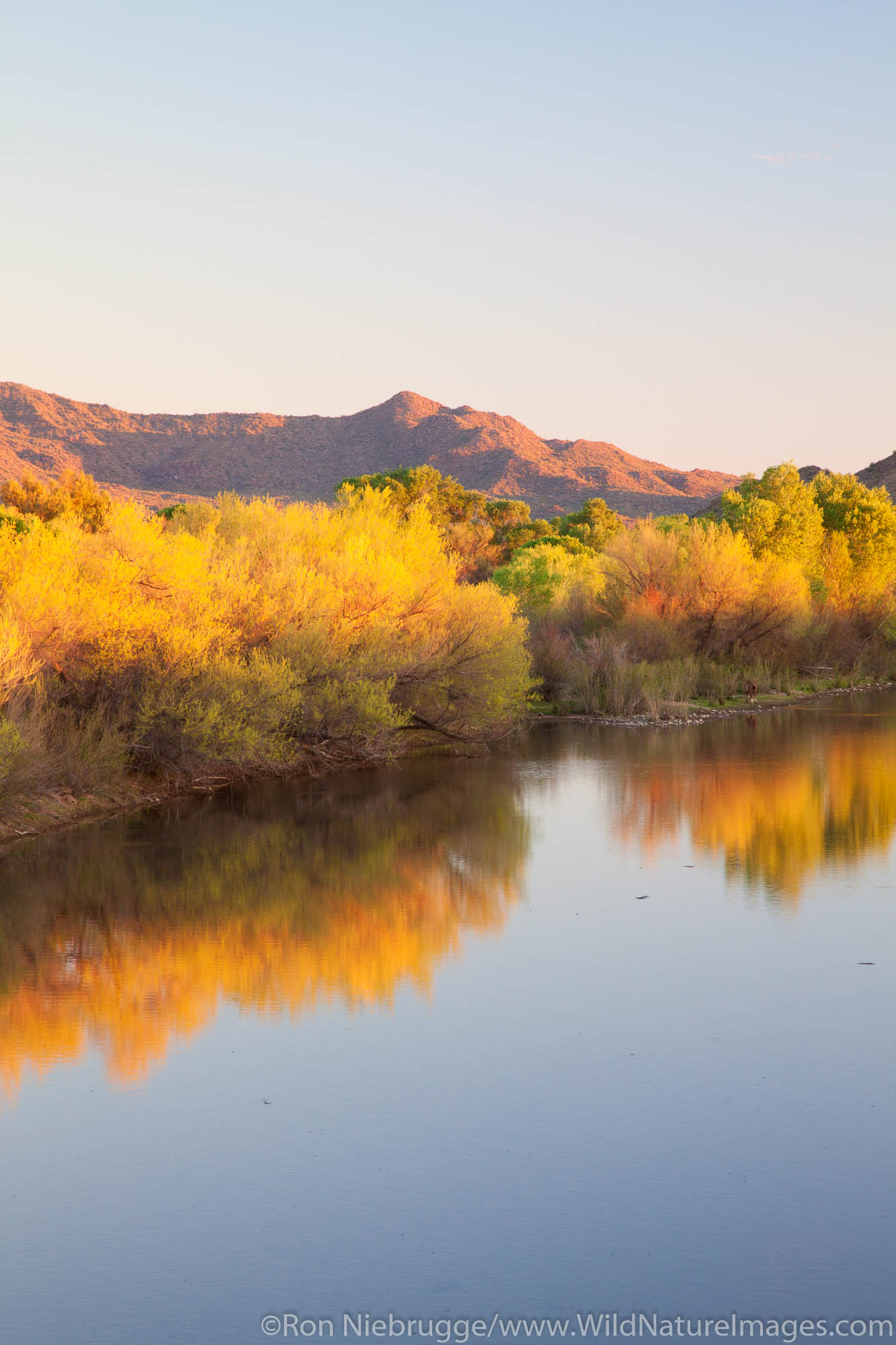 Verde River, Fort McDowell Yavapai Nation East of Phoenix, Arizona.