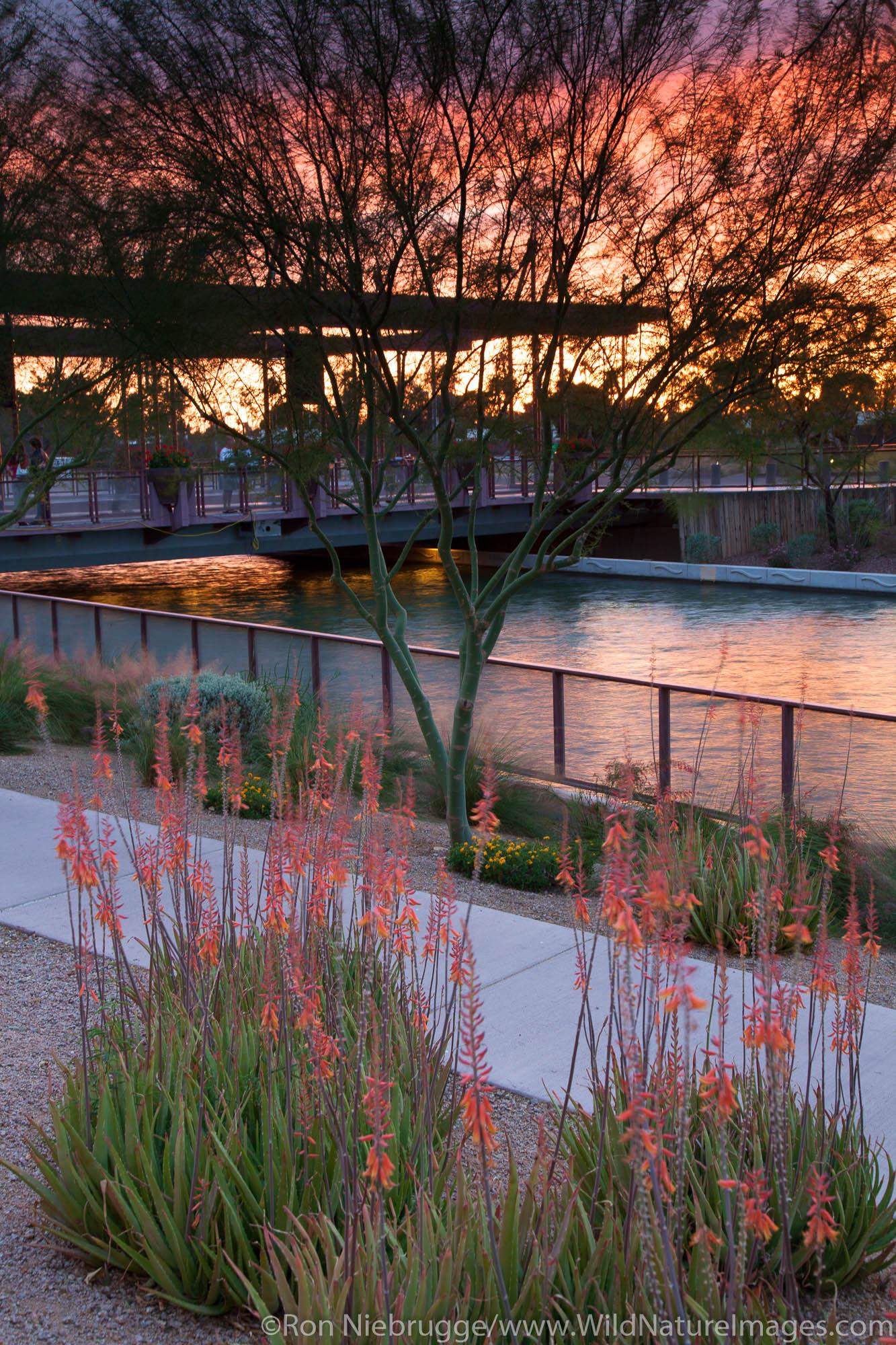 The Riverwalk area of Scottsdale, Arizona.