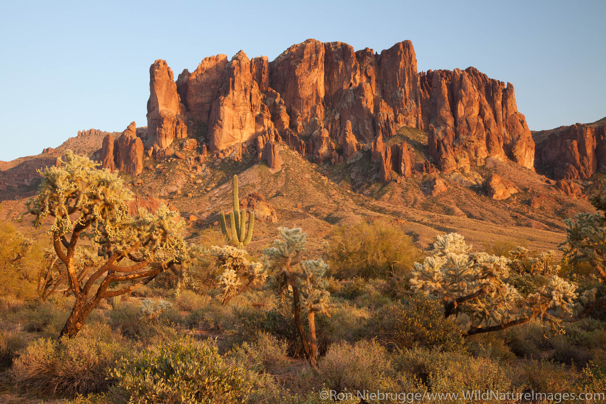 Lost Dutchman State Park, Arizona.