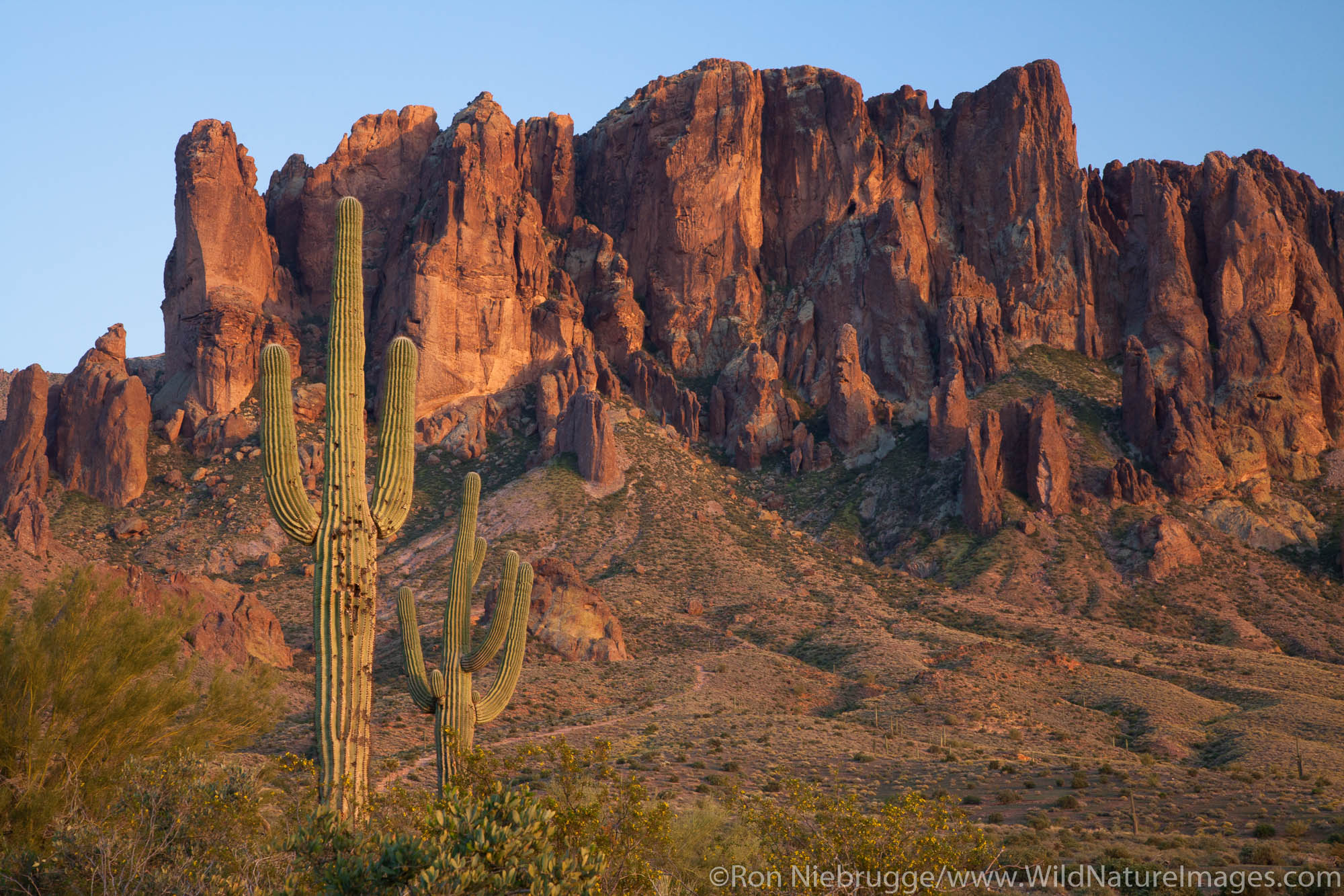 Lost Dutchman State Park, Arizona.