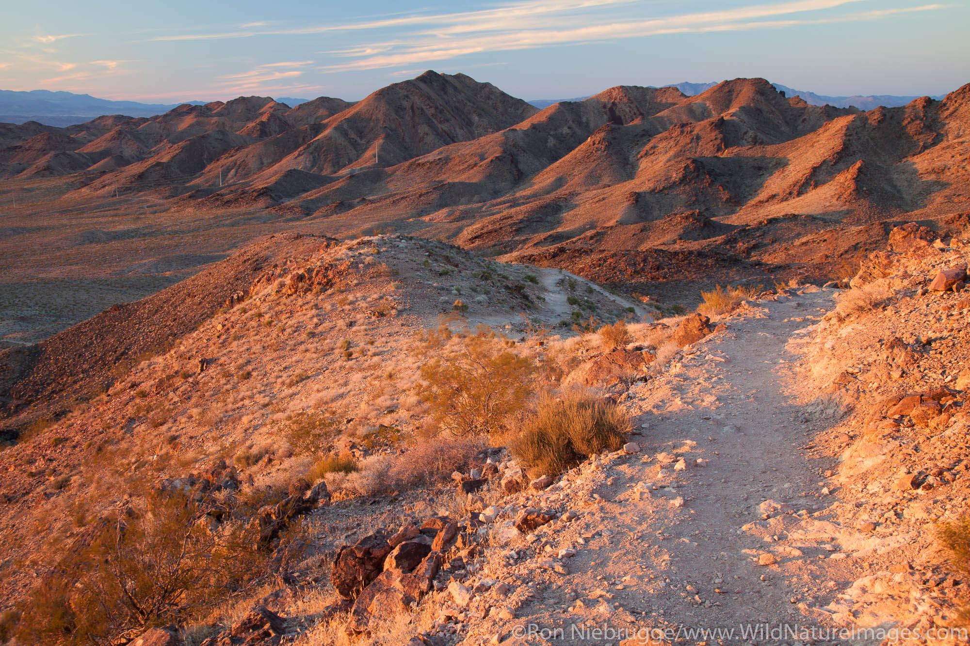 Some of the single track trails that make up the Bootleg Canyon mountain biking area, Boulder City, Nevada.