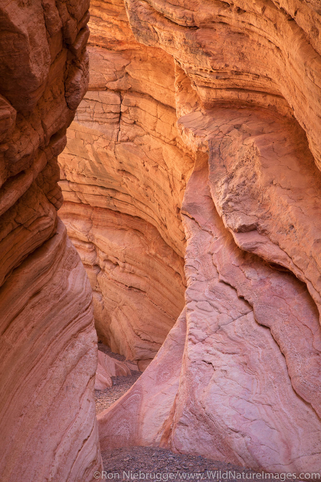 A slot conyon in Lake Mead National Recreation Area, near Las Vegas, Nevada.