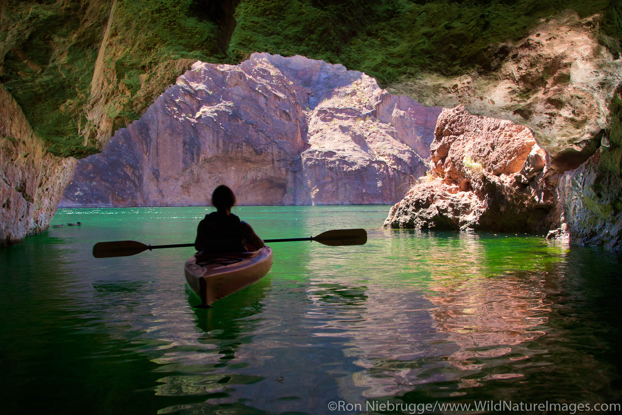 Kayaking on the Colorado River, Lake Mead National Recreation Area, near Las Vegas, Nevada.  (model released)