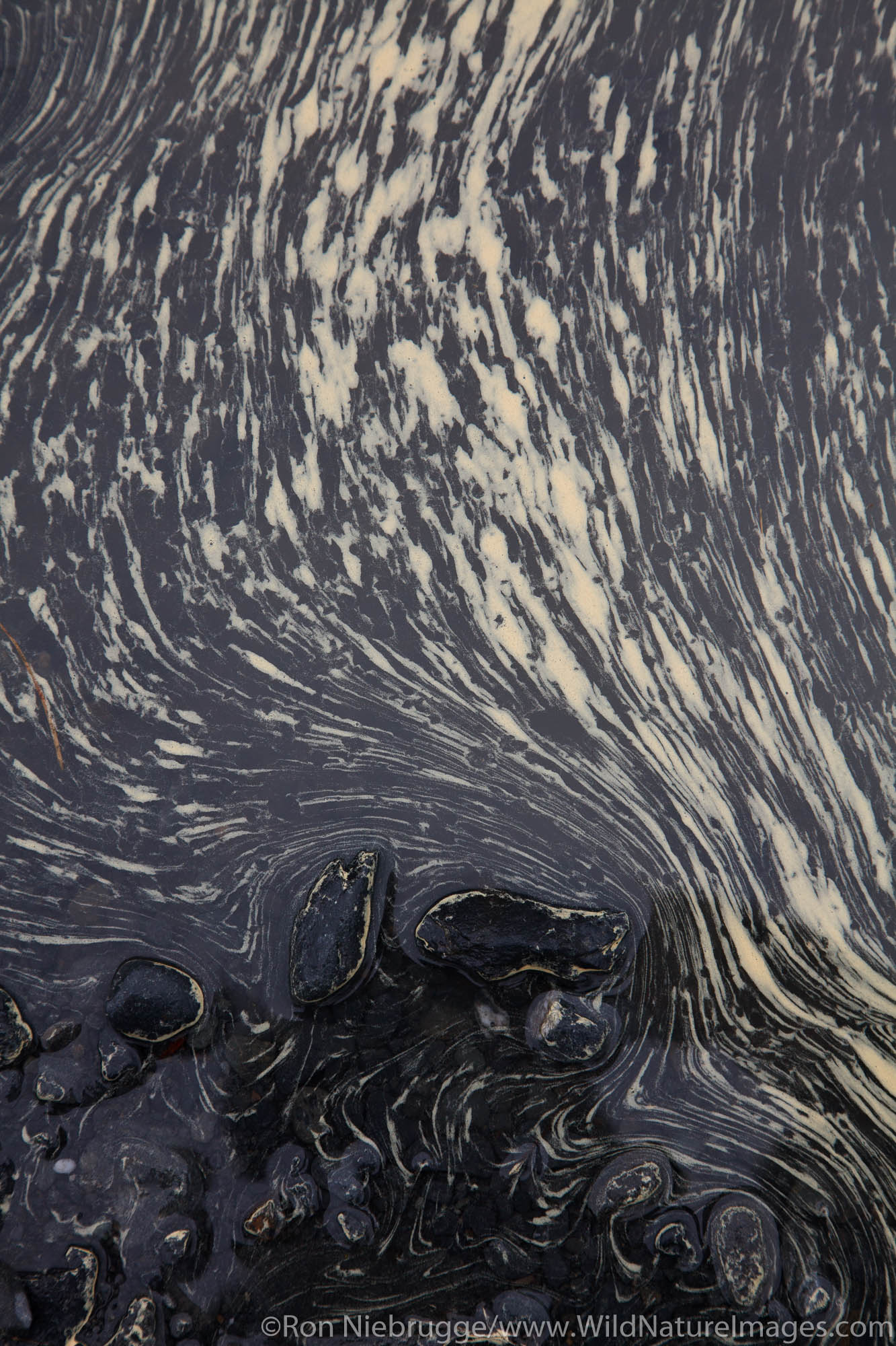 Pollen patterns in water, Seward, Alaska.