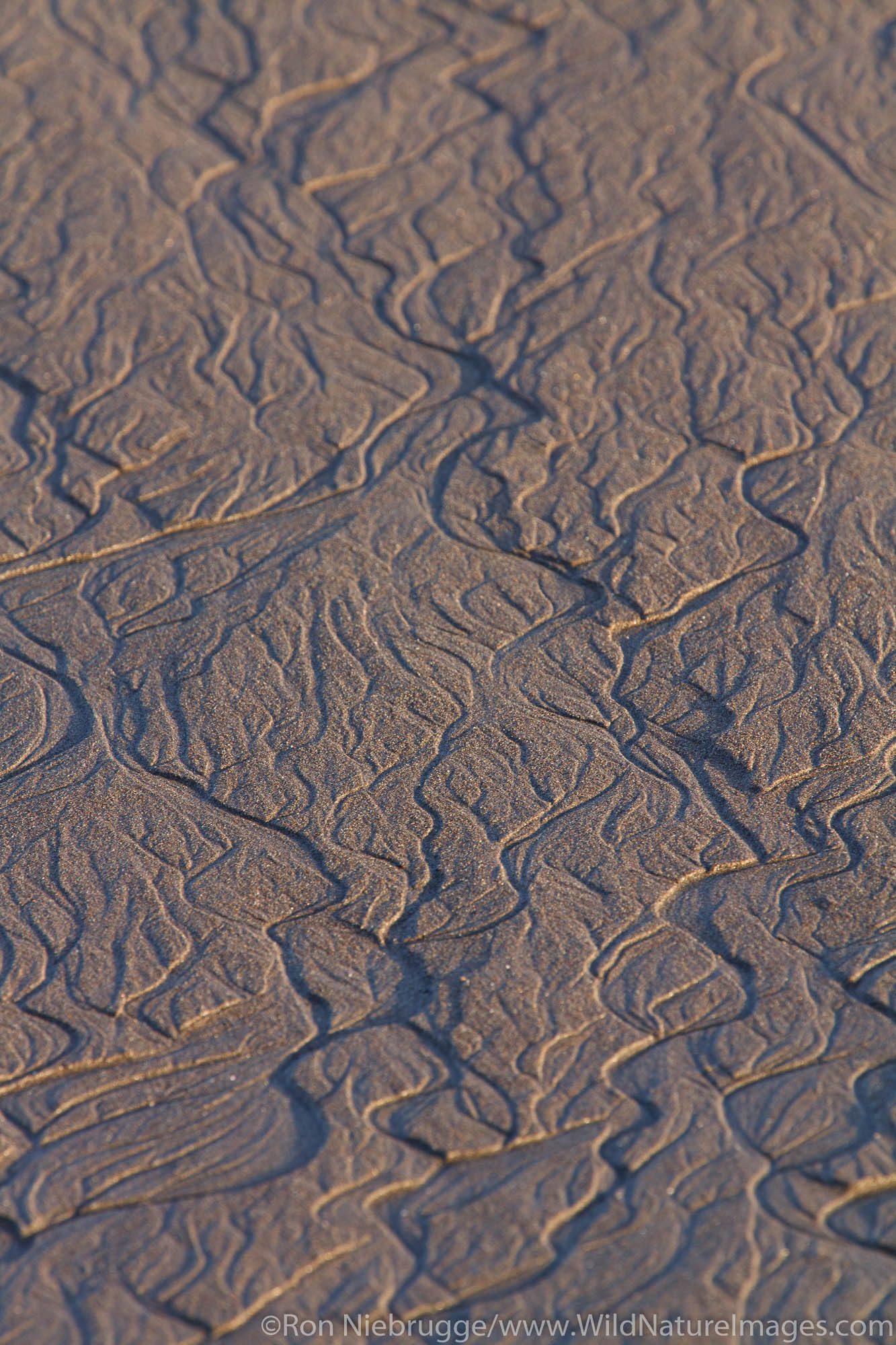 Sand Patterns, Lake Clark National Park, Alaska.
