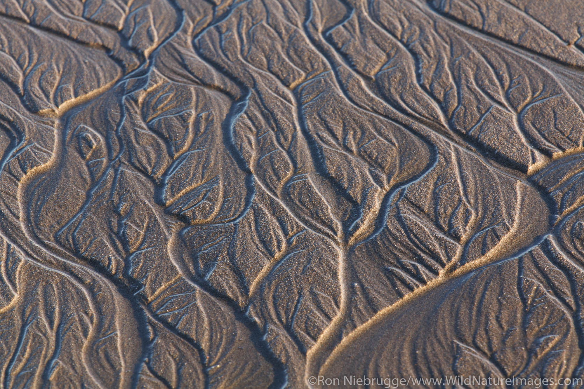 Sand Patterns, Lake Clark National Park, Alaska.