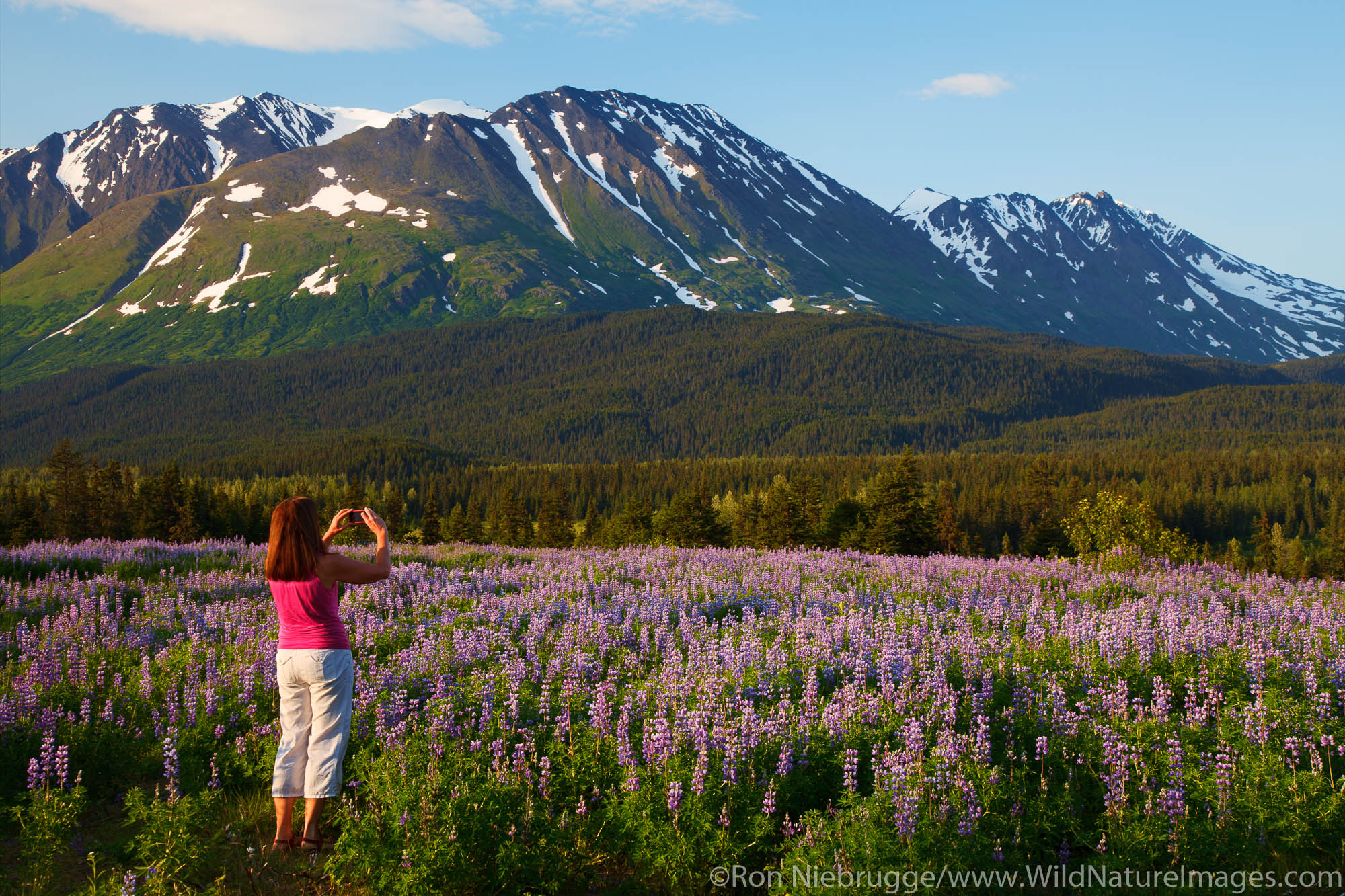 Visitor takes a photo with an iPhone, Chugach National Forest, Alaska.  (model released)