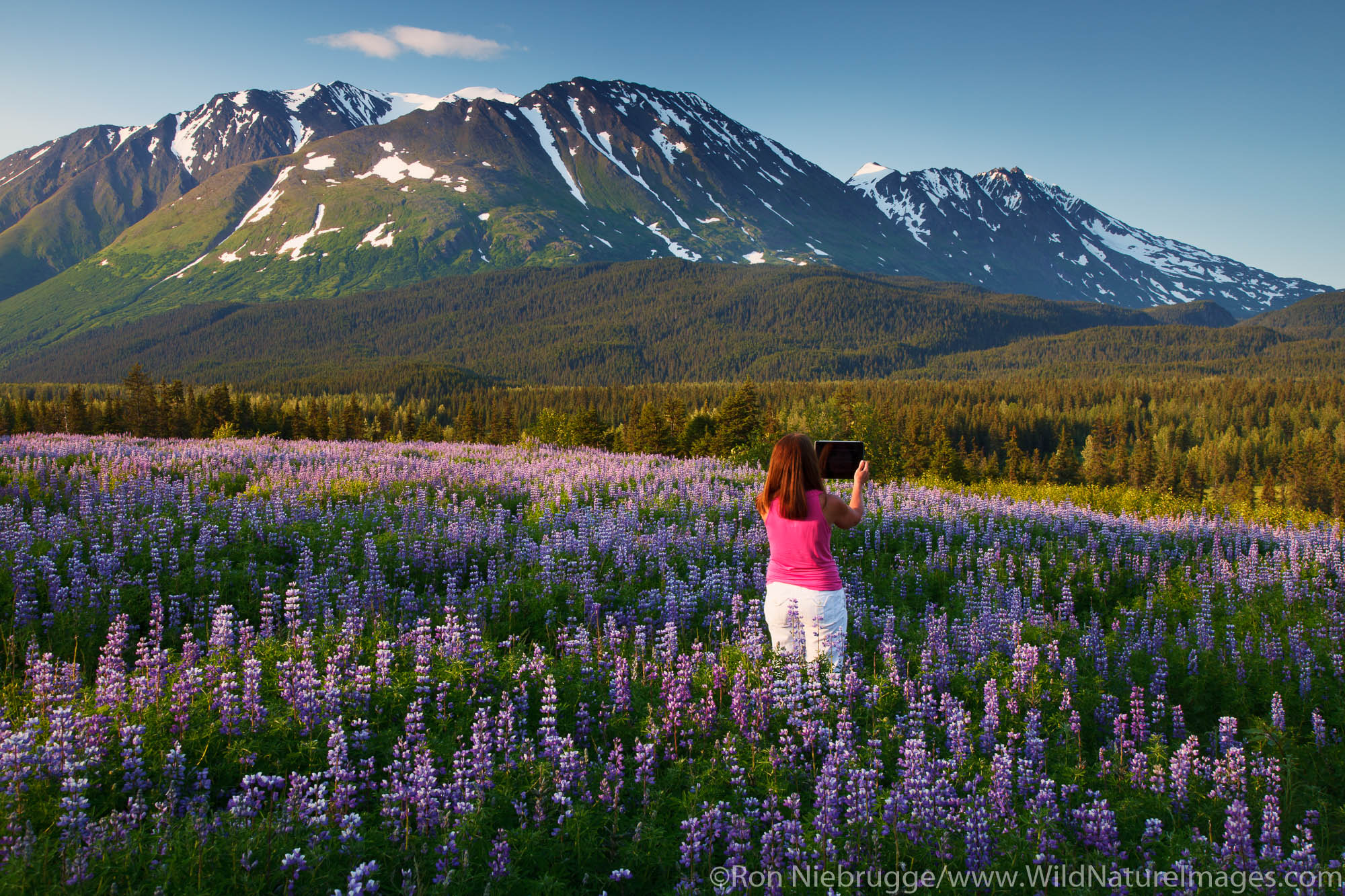 Visitor taking a photo with an ipad, Chugach National Forest, Alaska.  (model released)