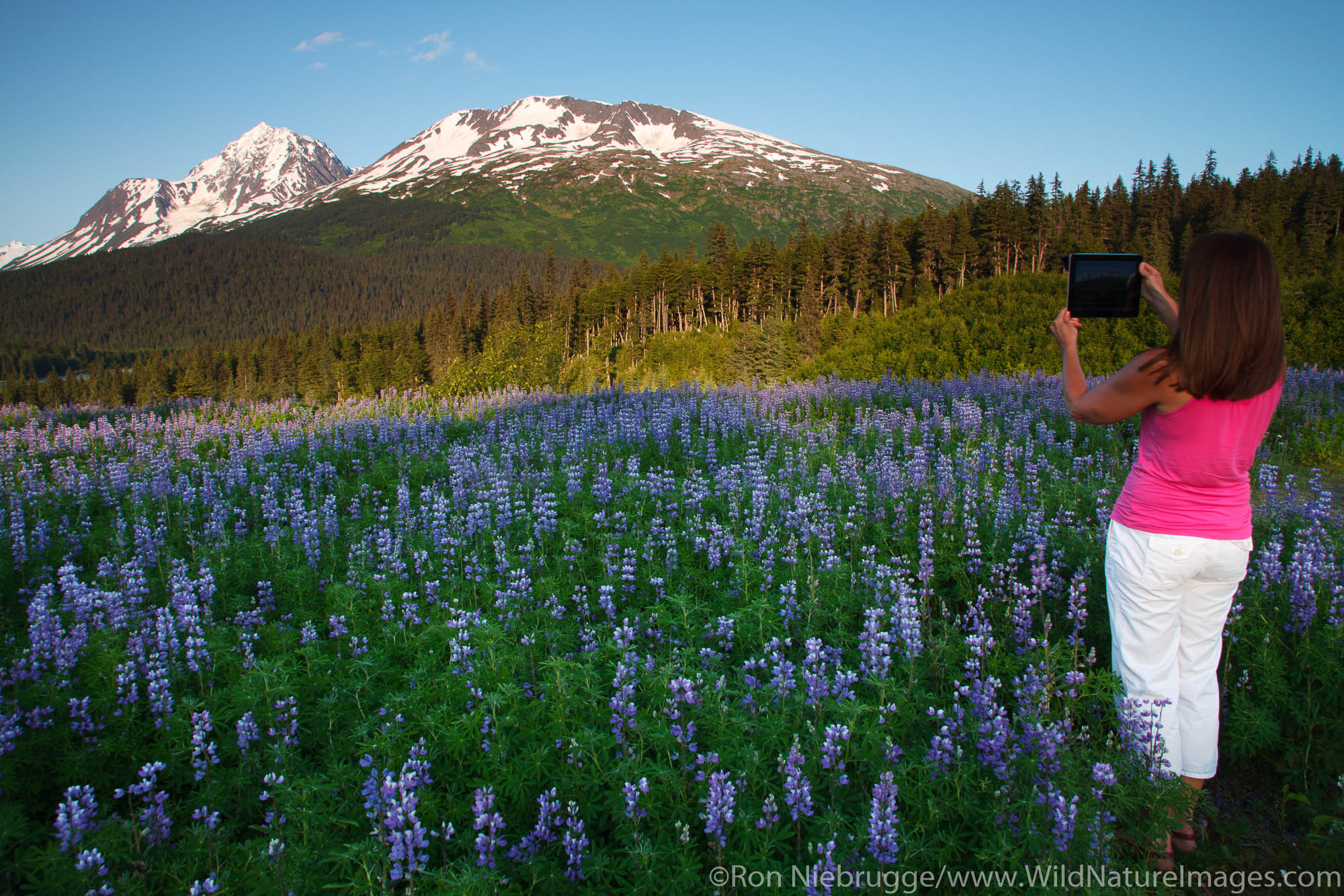 Visitor taking a photo with an ipad, Chugach National Forest, Alaska.  (model released)