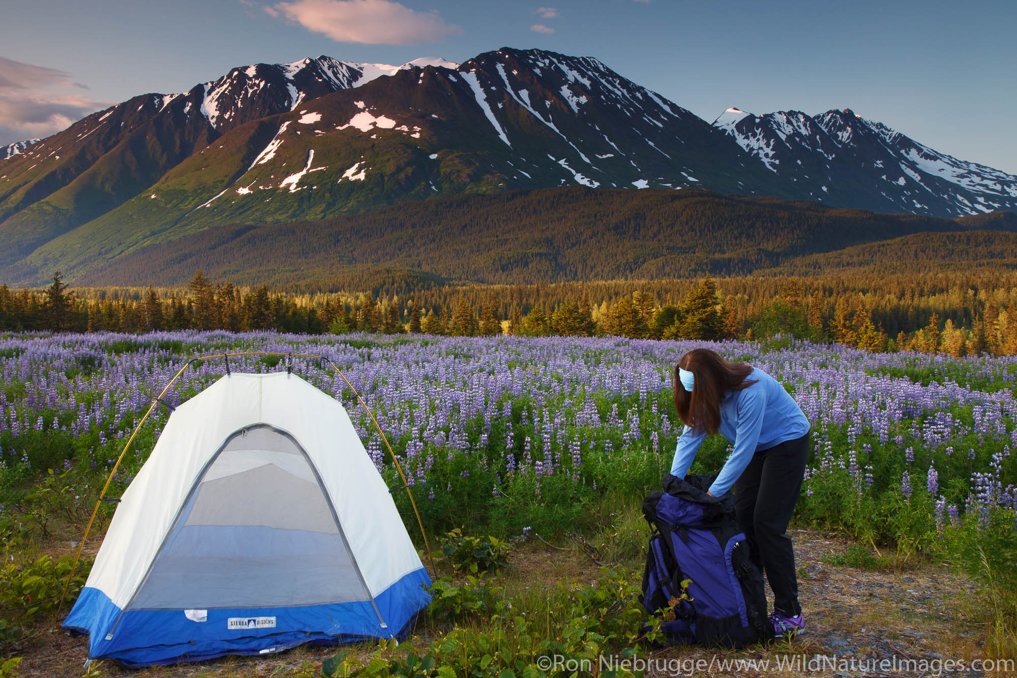 Camping in the Chugach National Forest, Alaska.  (model released)