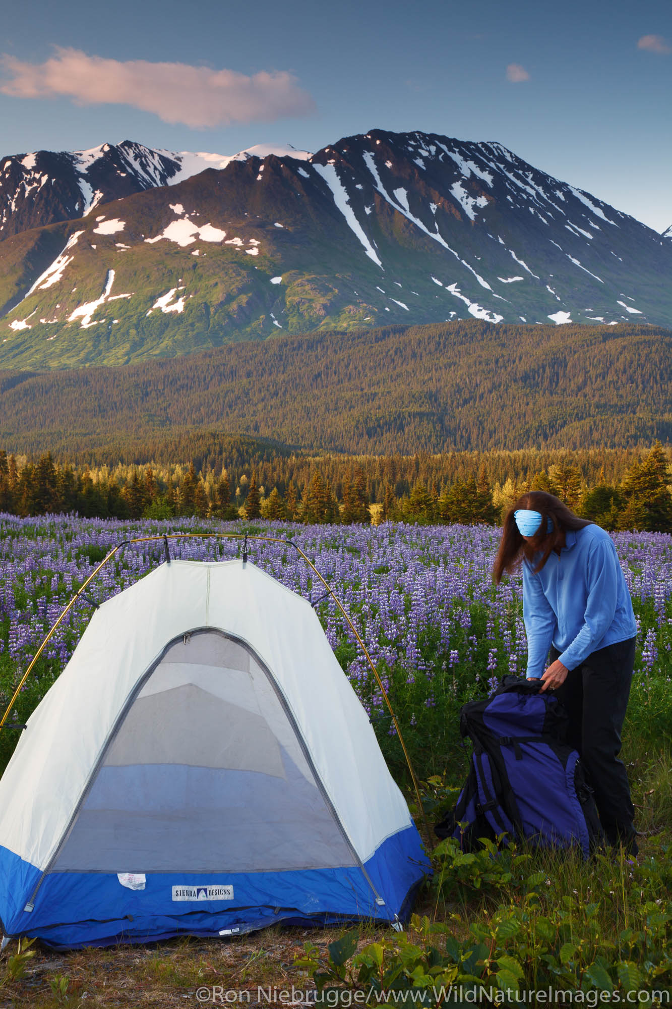 Camping in the Chugach National Forest, Alaska.  (model released)