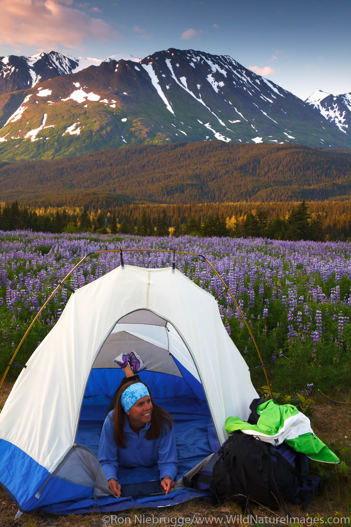 Reading an ipad while camping in the Chugach National Forest, Alaska.  (model released)