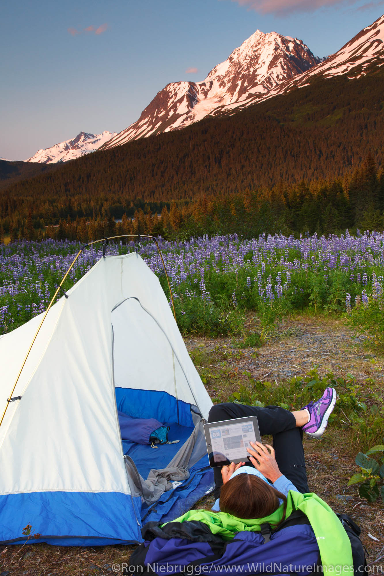 Reading an ipad while camping in the Chugach National Forest, Alaska.  (model released)