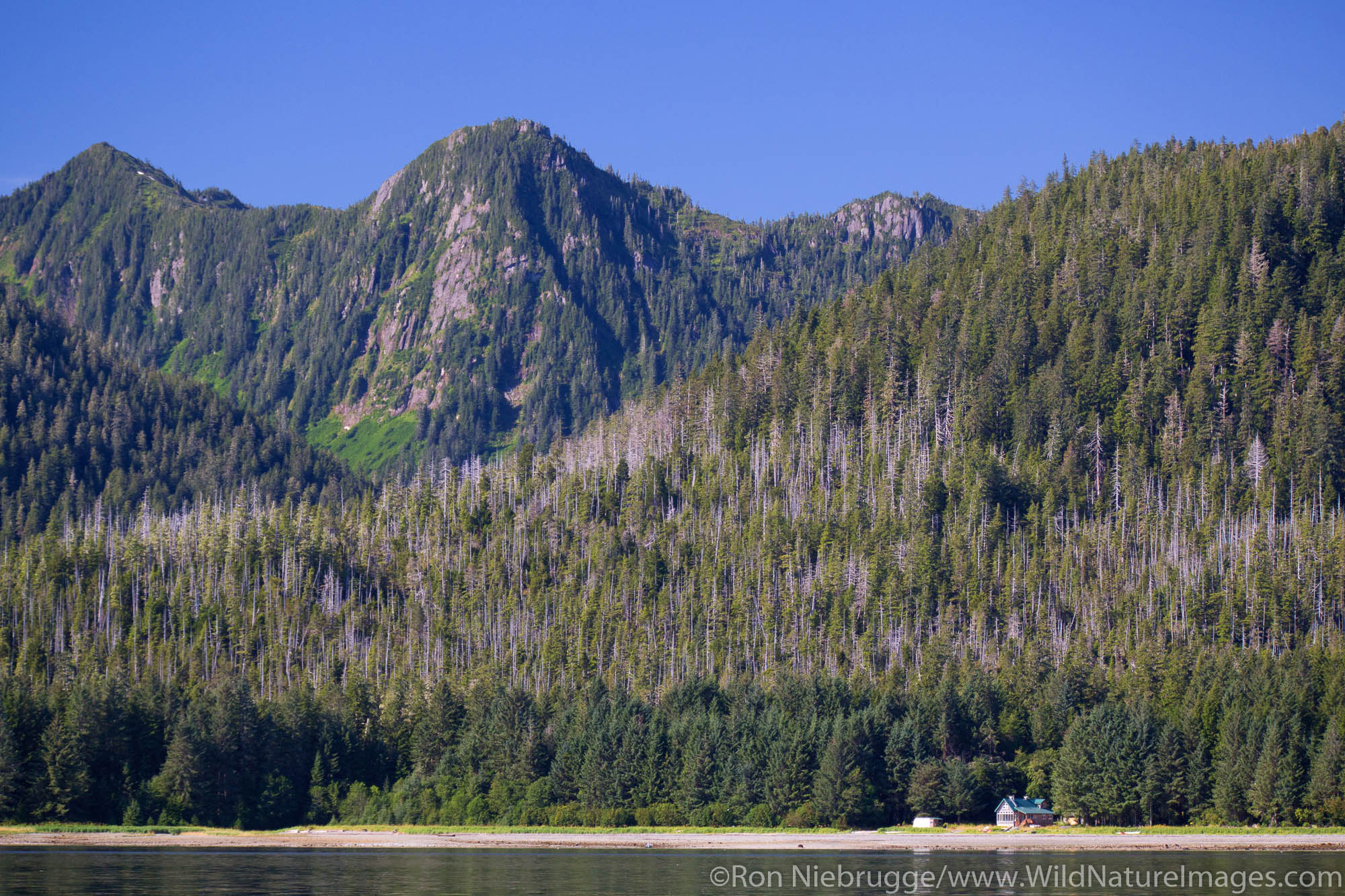 Tongass National Forest, Alaska.