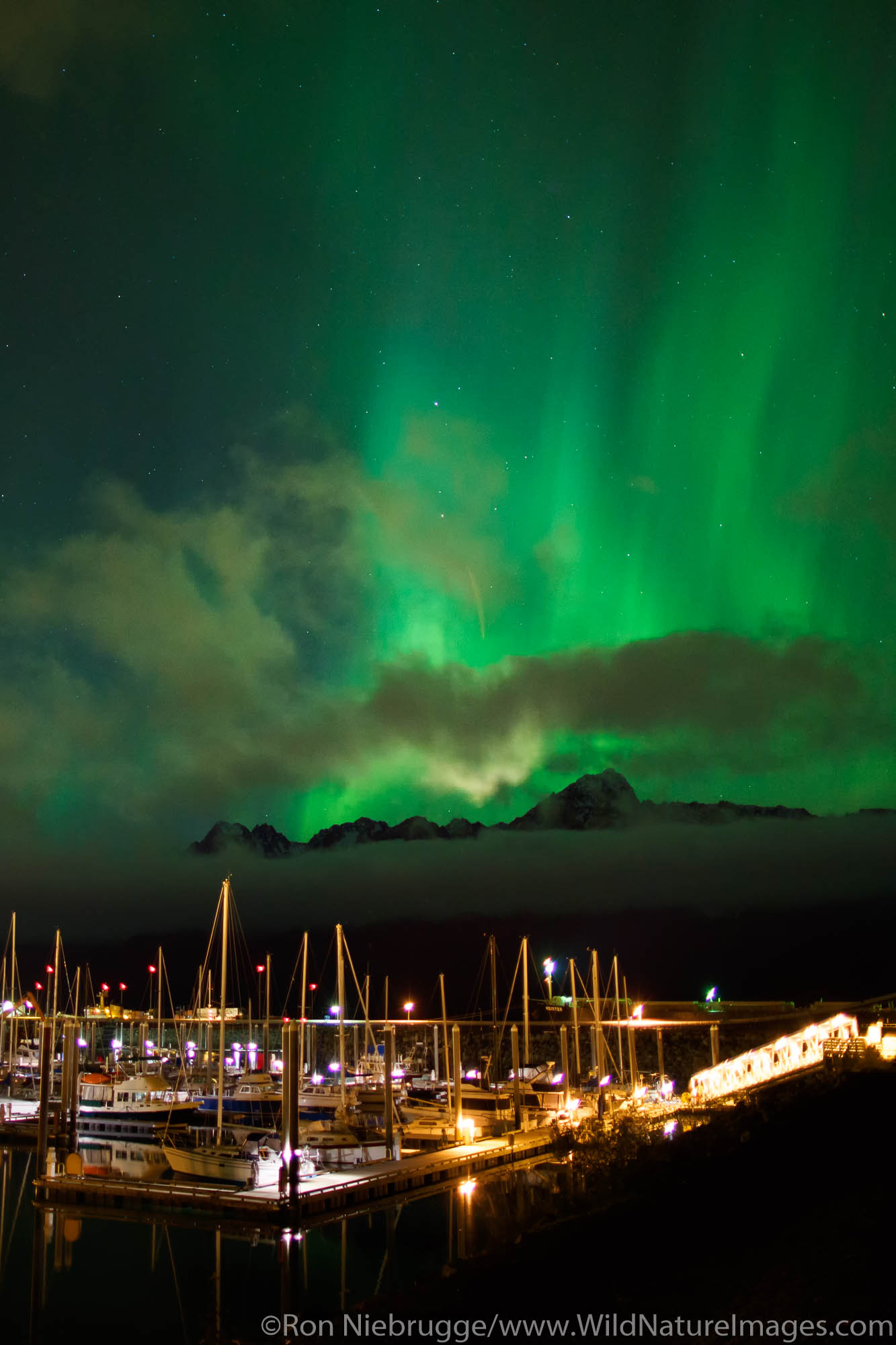 Northern Lights, also known as Aurora borealis, Alaska