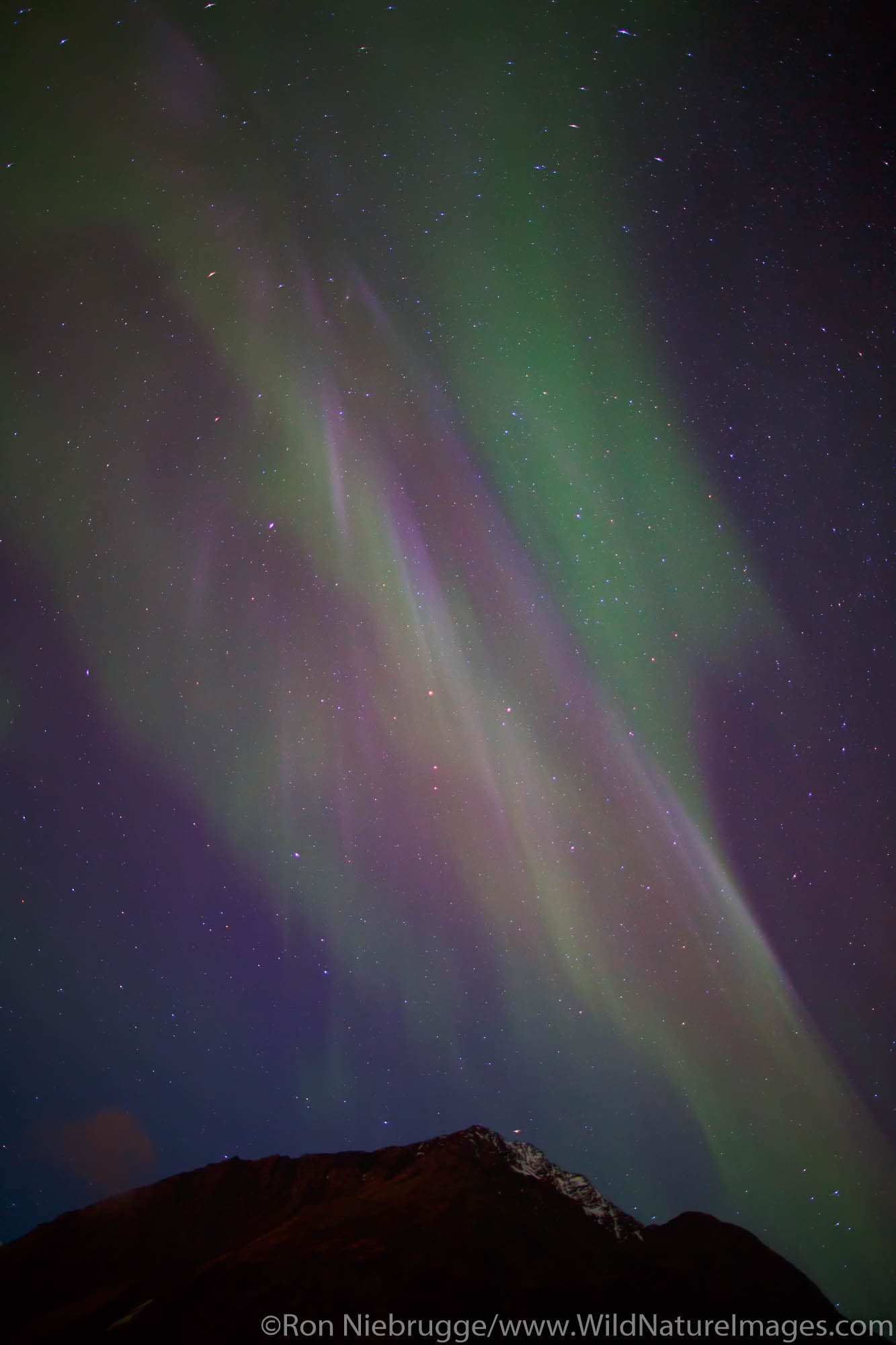 Northern Lights, also known as Aurora borealis, Alaska