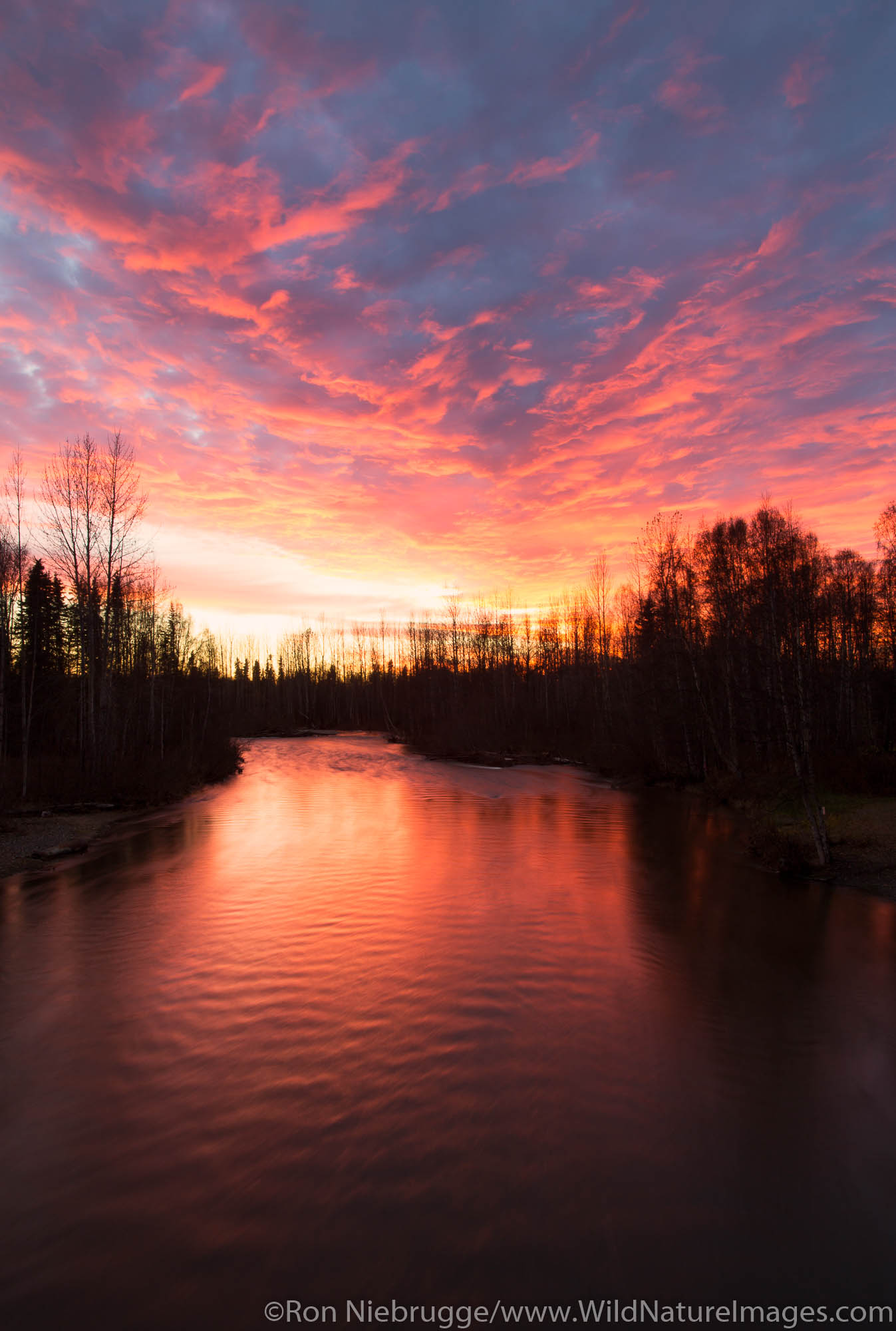 Winter sunset over Sheep Creek, along the Parks Highway, Alaska.