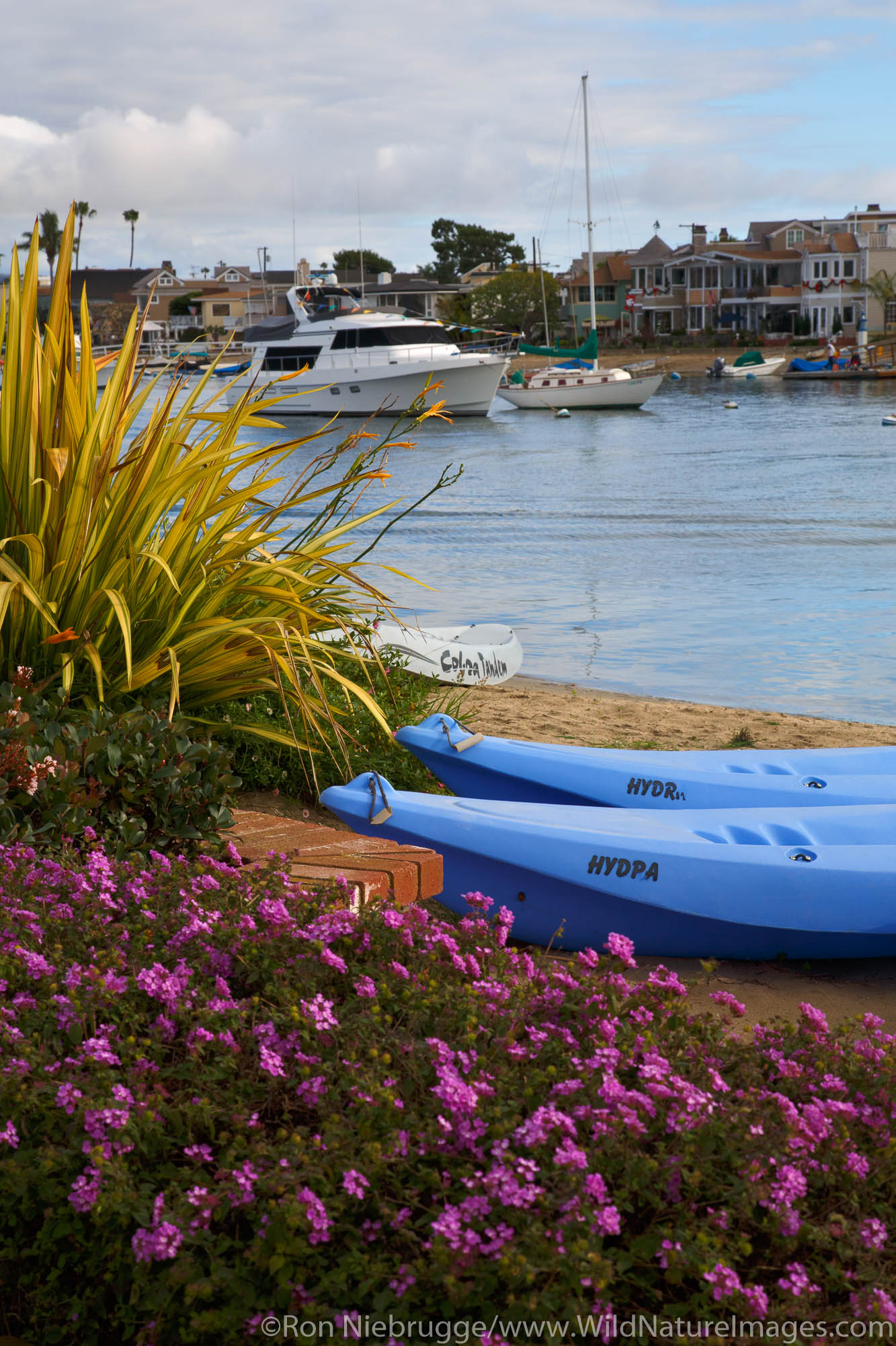 Balboa Island, Newport Beach, Orange County, California.