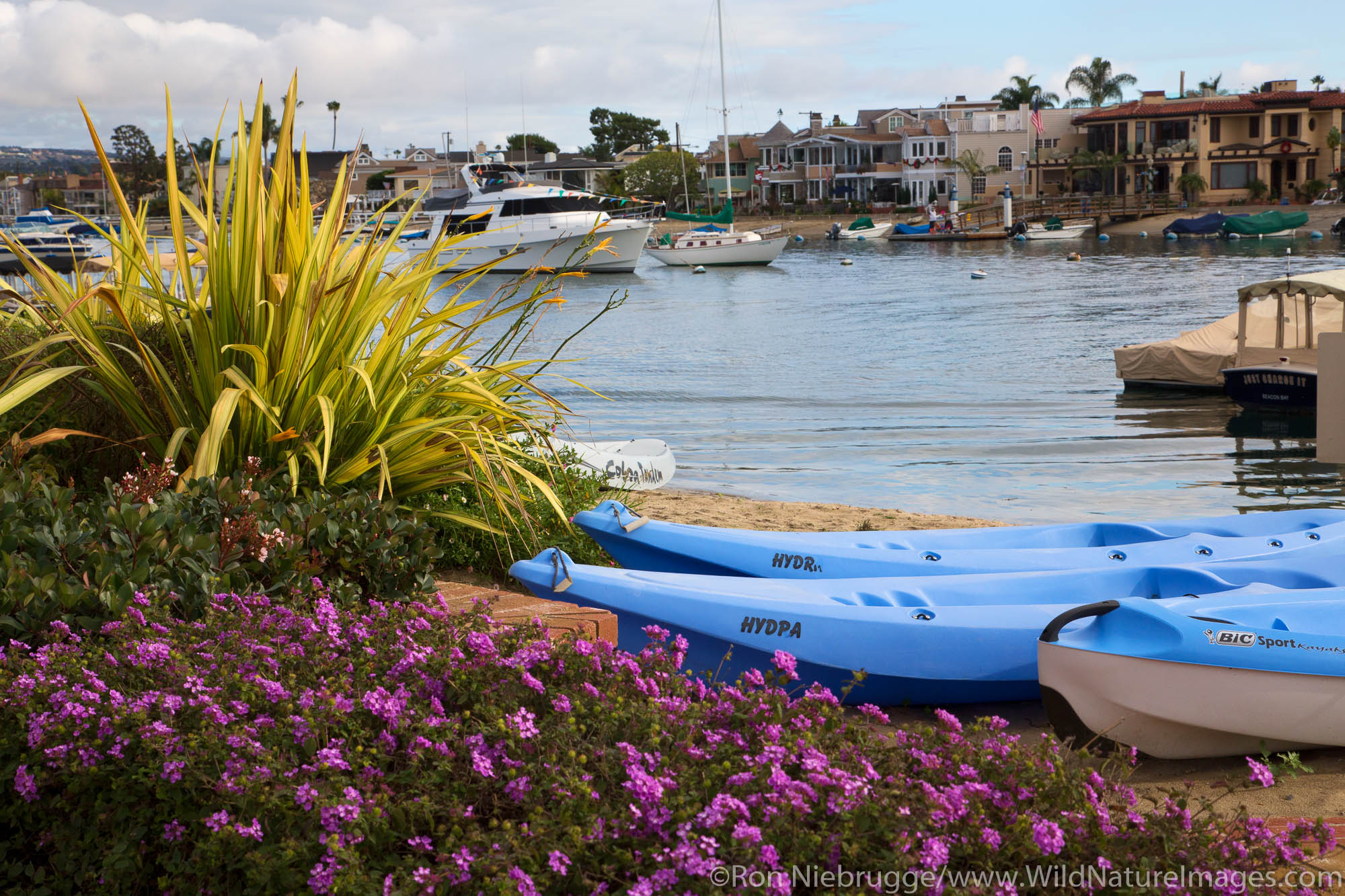 Balboa Island, Newport Beach, Orange County, California.
