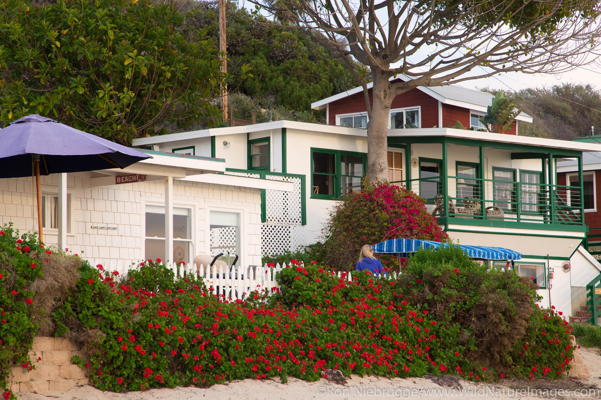Crystal Cove Beach Cottages, Crystal Cove State Park, Newport Beach, Orange County, California.