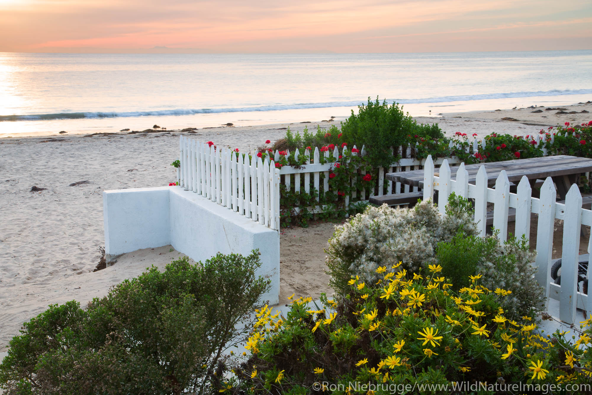 Crystal Cove Beach Cottages, Crystal Cove State Park, Newport Beach, Orange County, California.