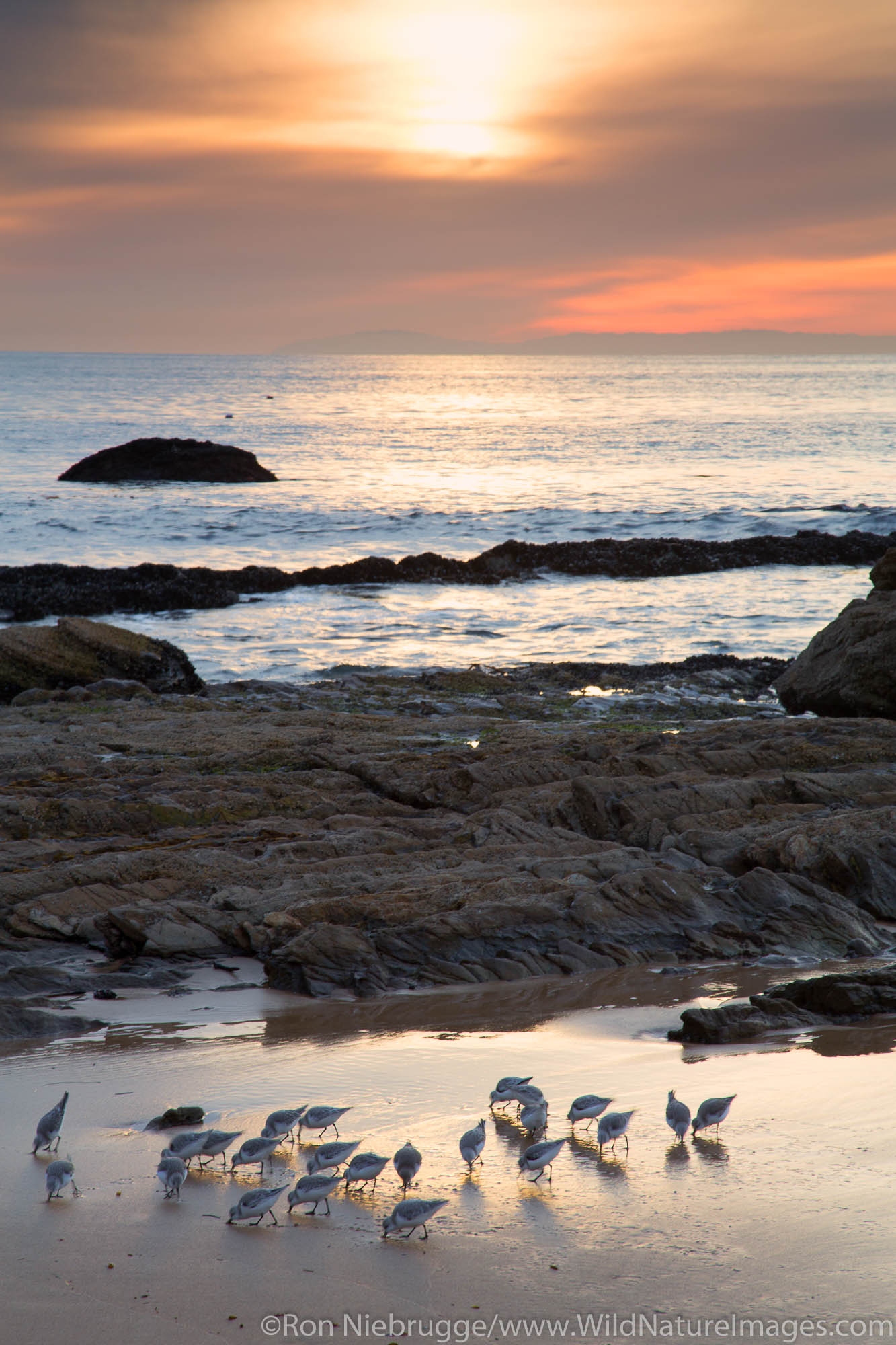 Sunset at Crystal Cove State Park, Newport Beach, Orange County, California.