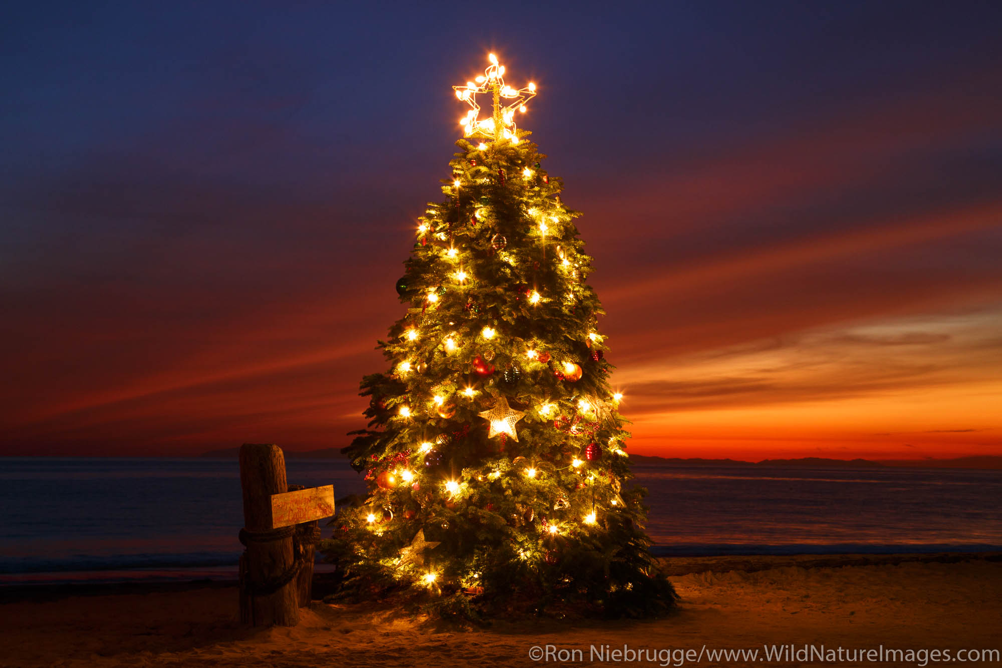 Christmas Tree at the Crystal Cove Beach Cottages, Crystal Cove State Park, Newport Beach, Orange County, California.