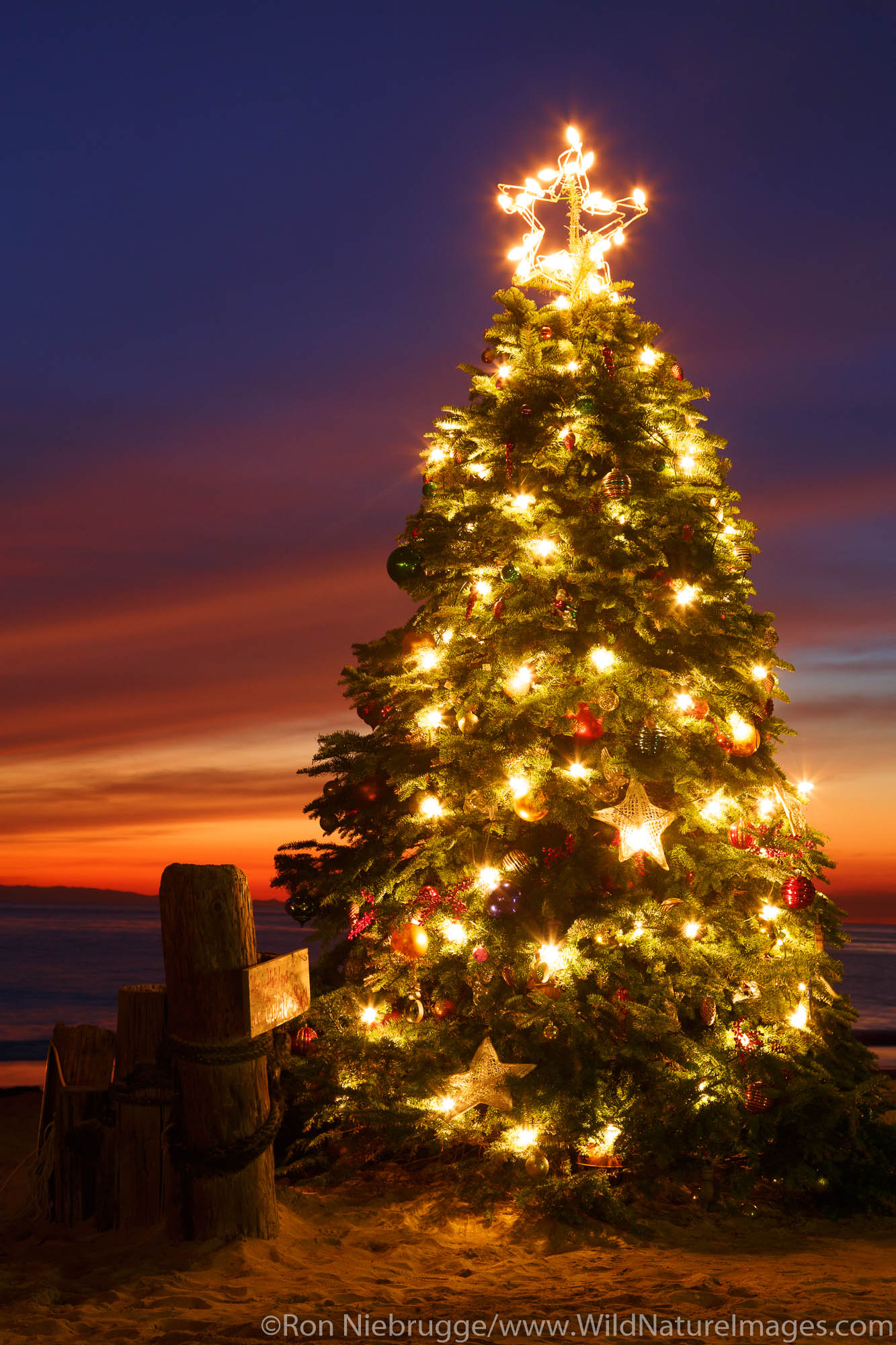 Christmas Tree at the Crystal Cove Beach Cottages, Crystal Cove State Park, Newport Beach, Orange County, California.