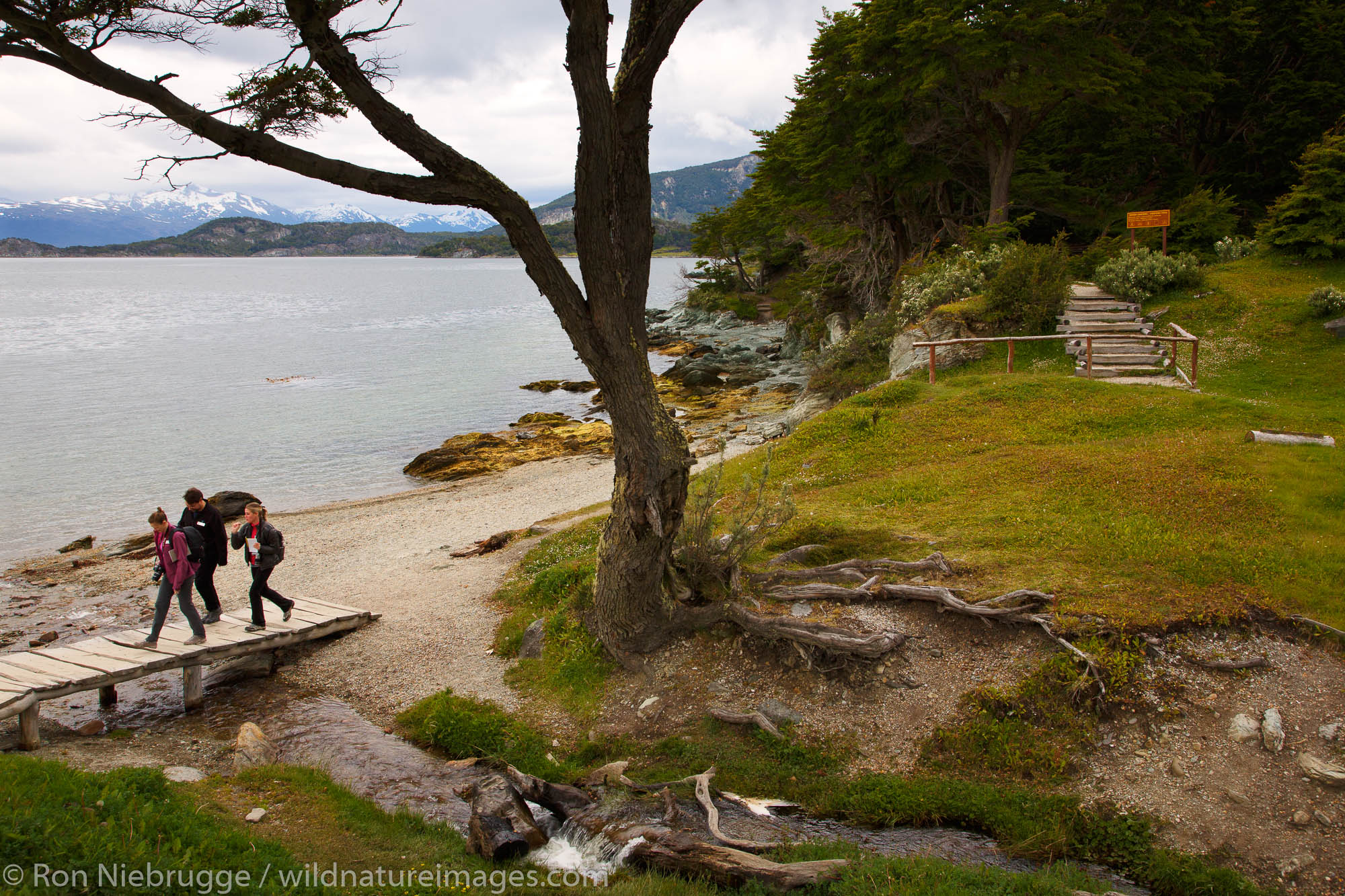 Coastal Trail, Tierra del Fuego National Park, Ushuaia, Argentina.