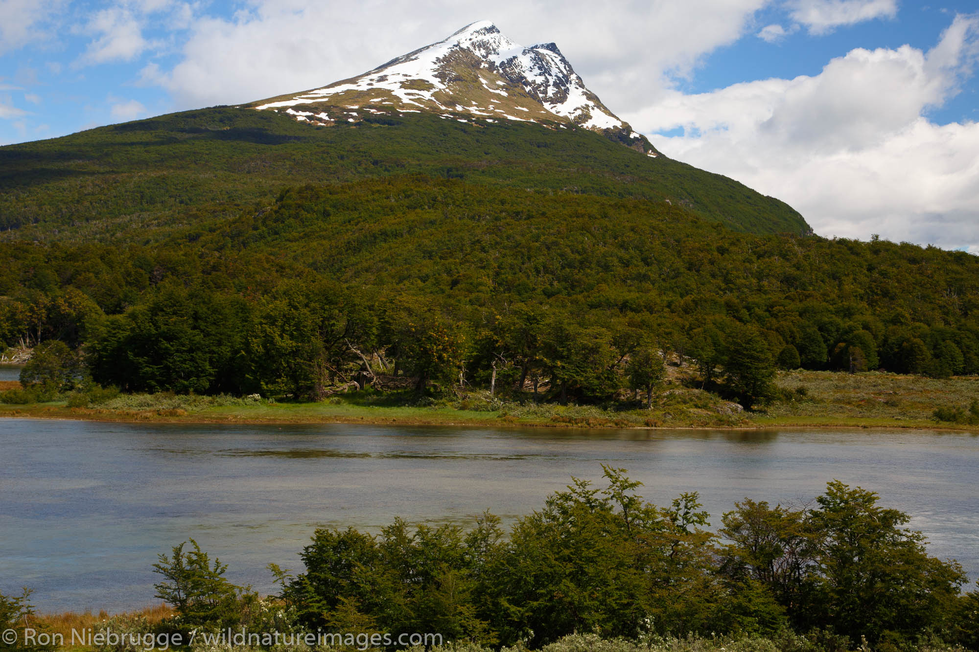 Tierra del Fuego National Park, Ushuaia, Argentina.
