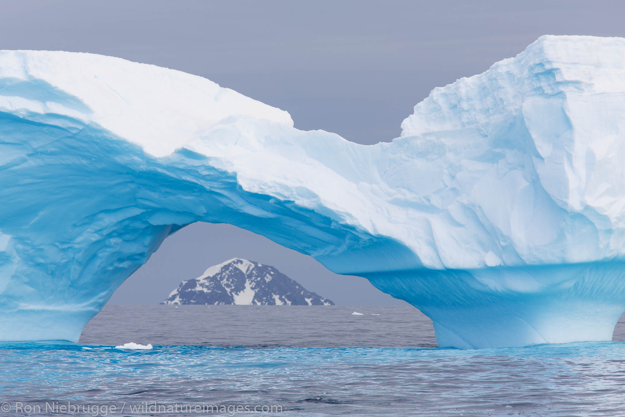 Iceberg in Cierva Cove, Antarctica.