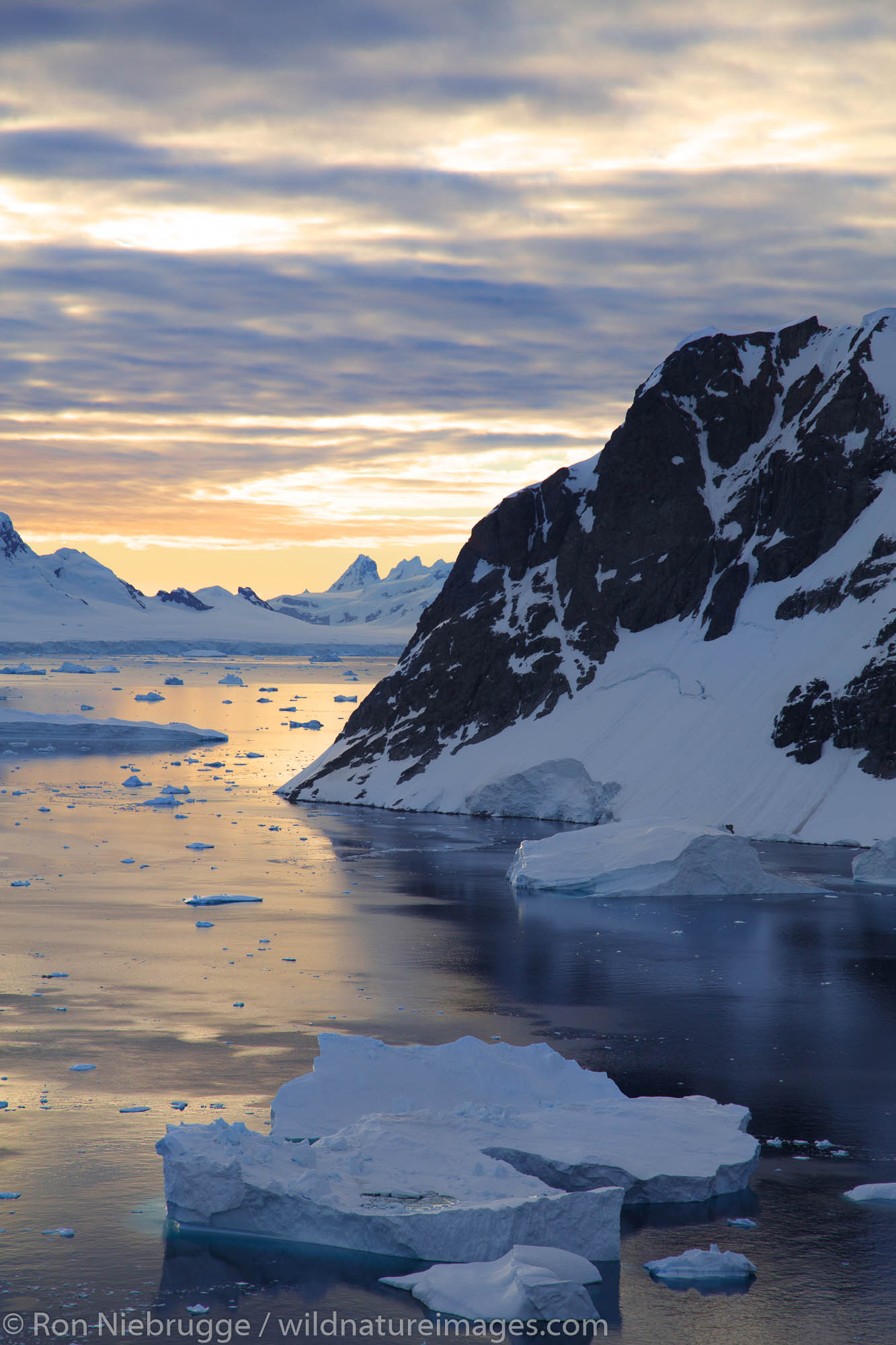 Danco Island, Antarctica.