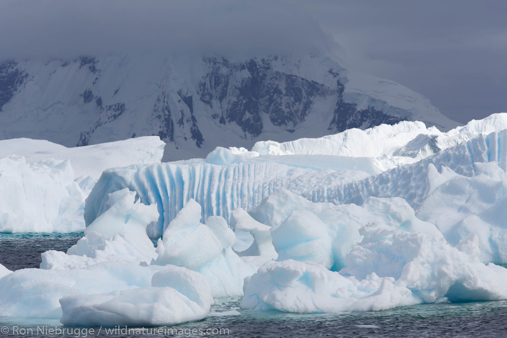 Icebergs at Cuverville Island, Antarctica.