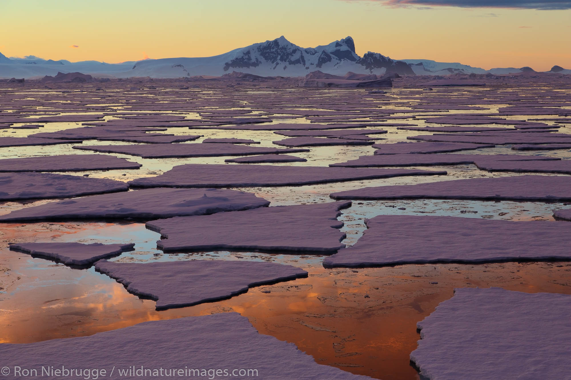 Sunset / sunrise as we travel below the Antarctic Circle, Antarctica.