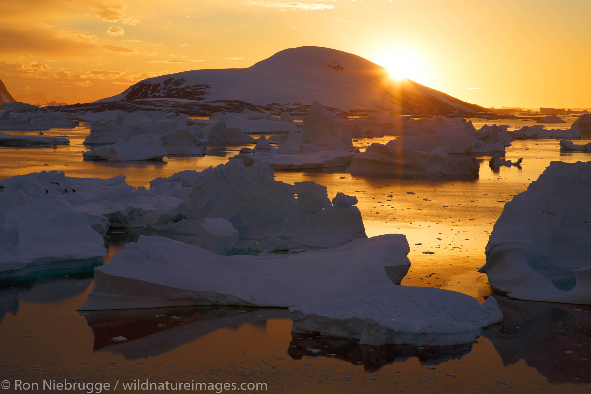 Giant icebergs at sunset in the Bellinghausen Sea, from  Booth Island, Antarctica.