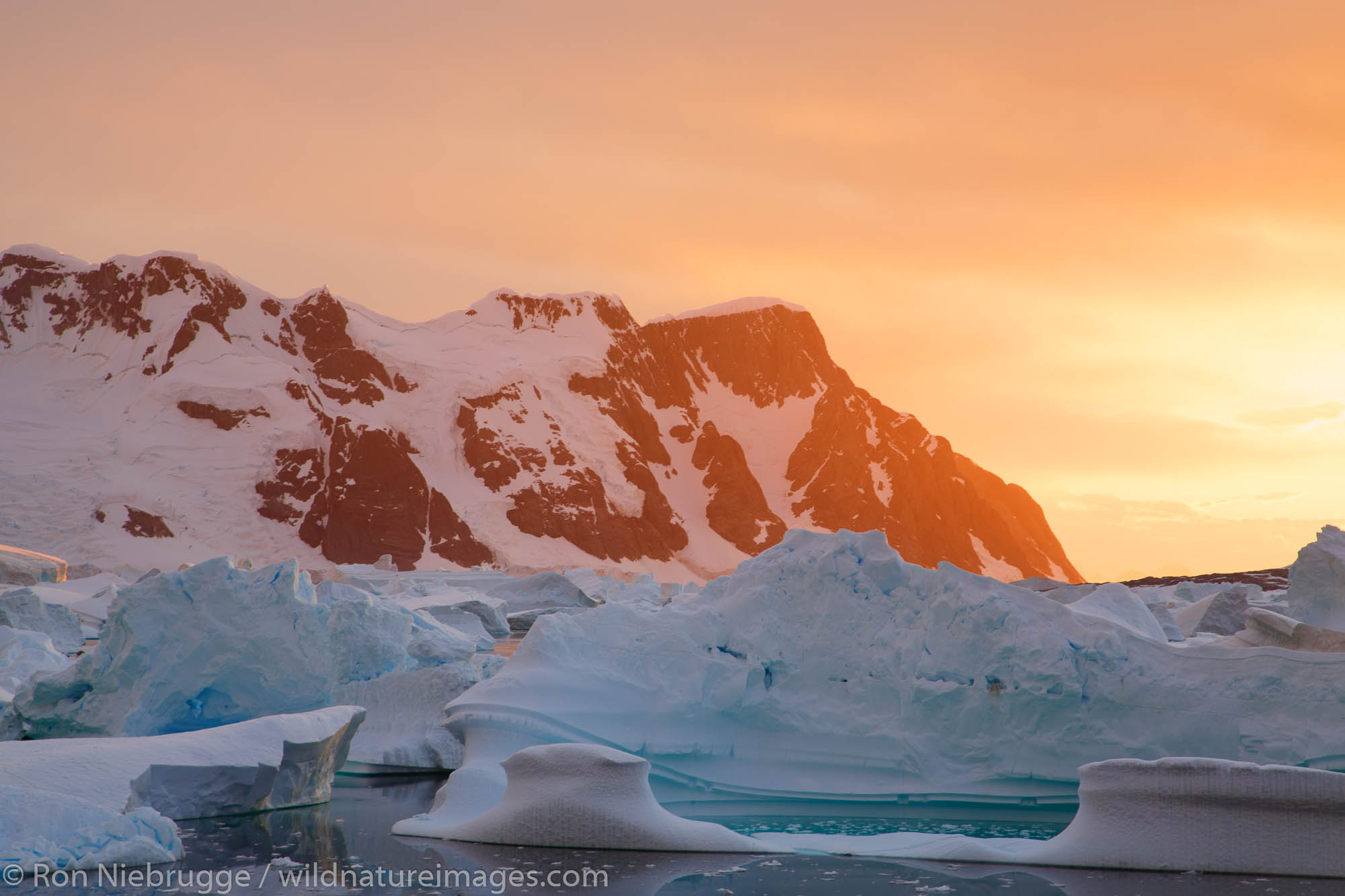 Giant icebergs at sunset in the Bellinghausen Sea, from  Booth Island, Antarctica.
