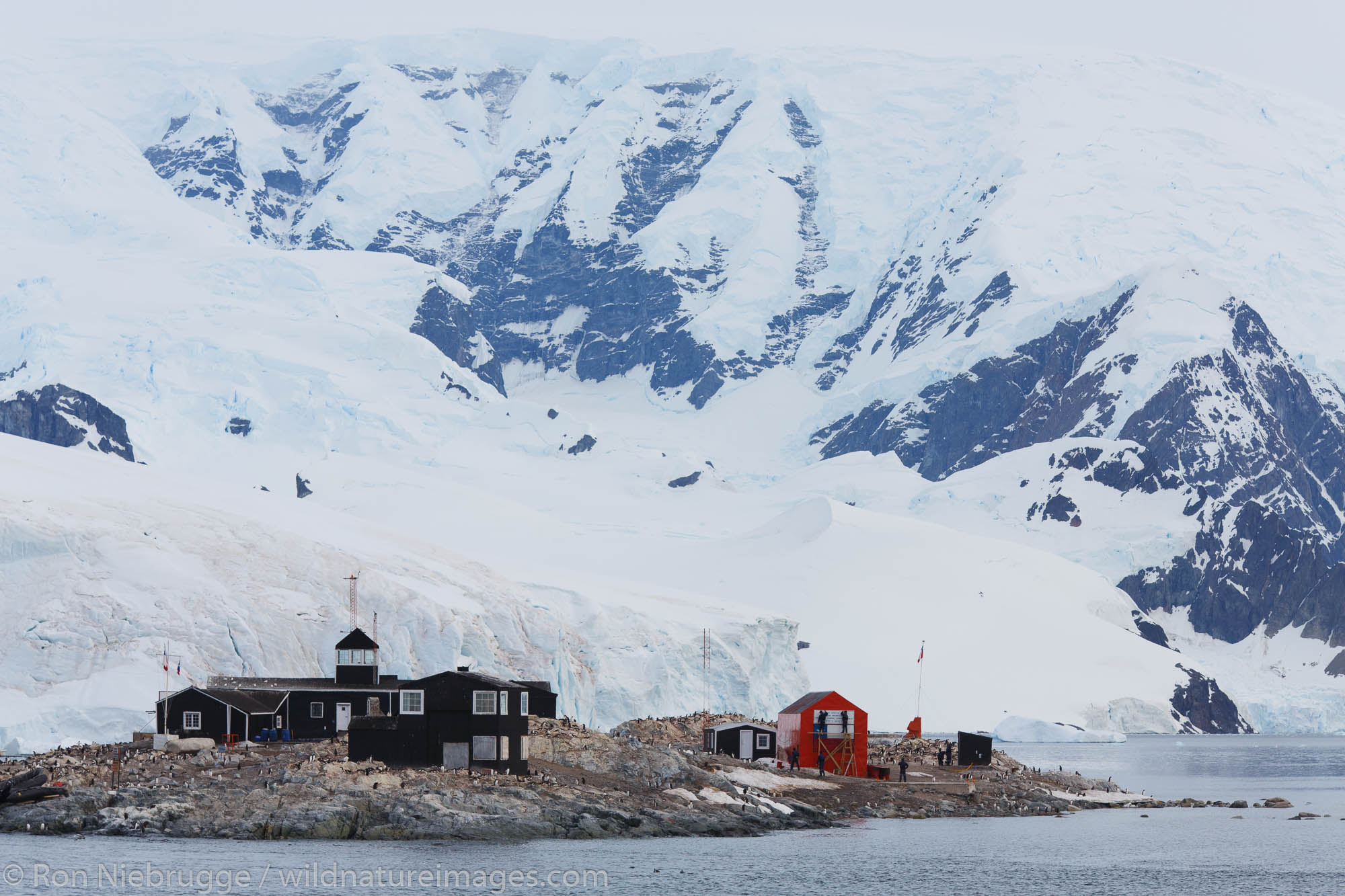 González Videla Base, is a  Chilean base on the Antarctic mainland's Waterboat Point in Paradise Bay, Antarctica.