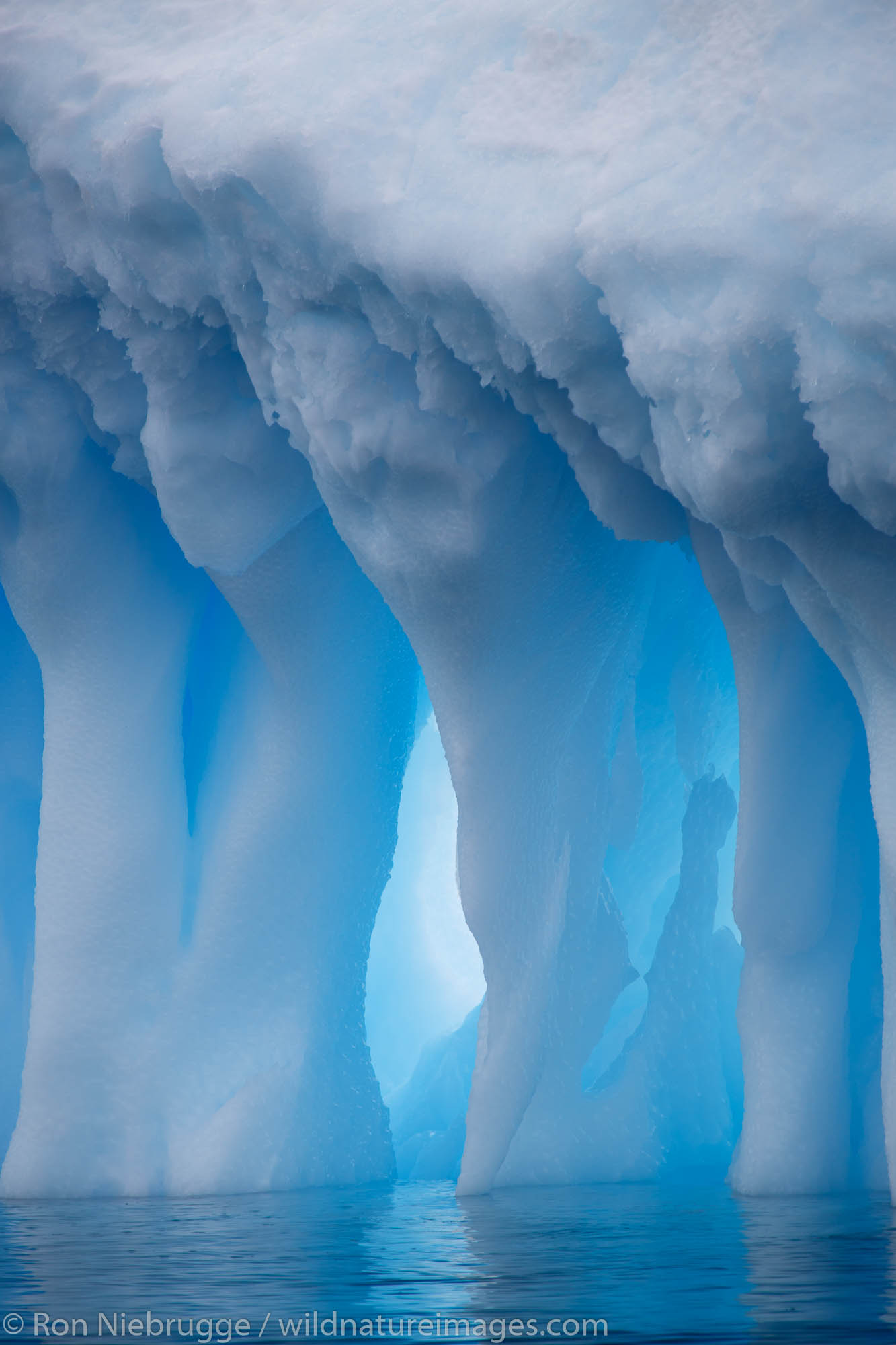 Icebergs at Brown Bluff, Antarctica.
