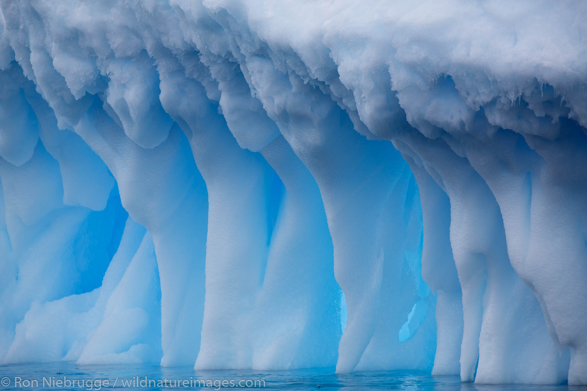 Icebergs at Brown Bluff, Antarctica.