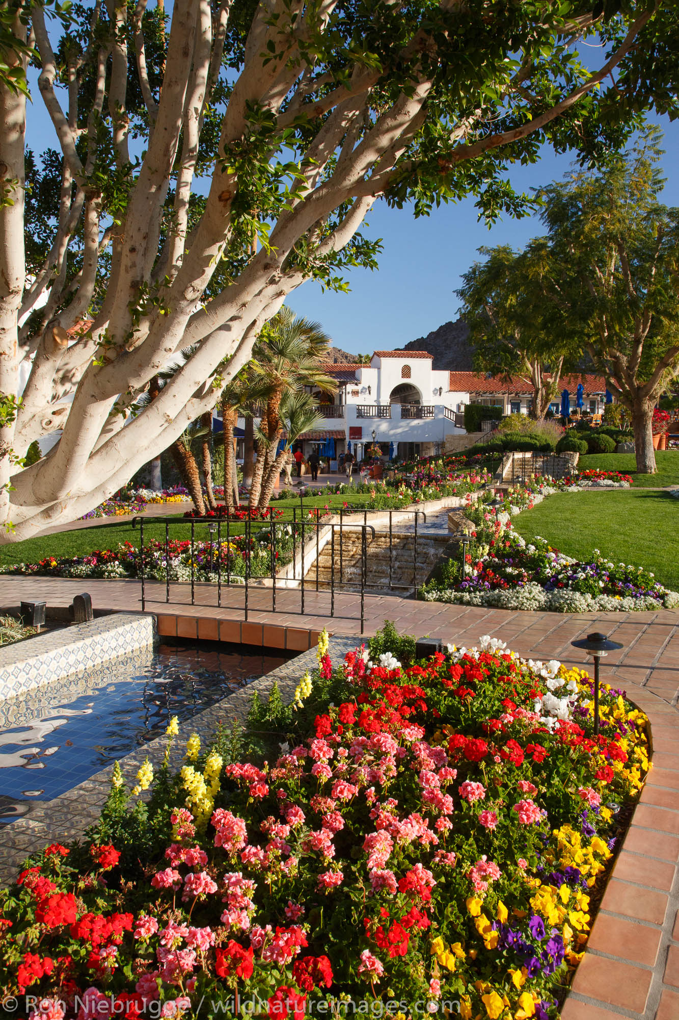 La Quinta, California | near Palm Springs, California. | Photos by Ron