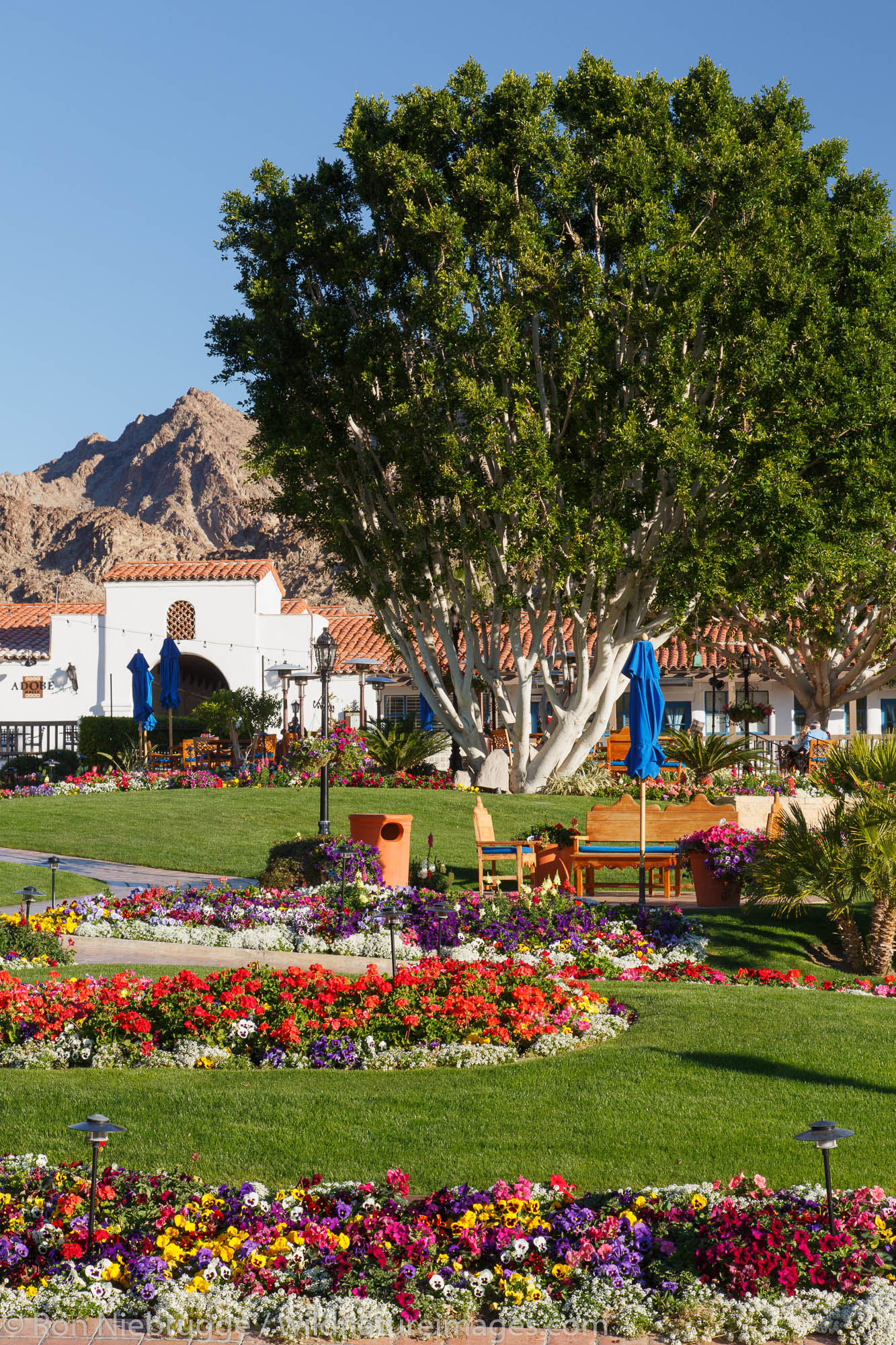 La Quinta Resort & Club in La Quinta, near Palm Springs, California