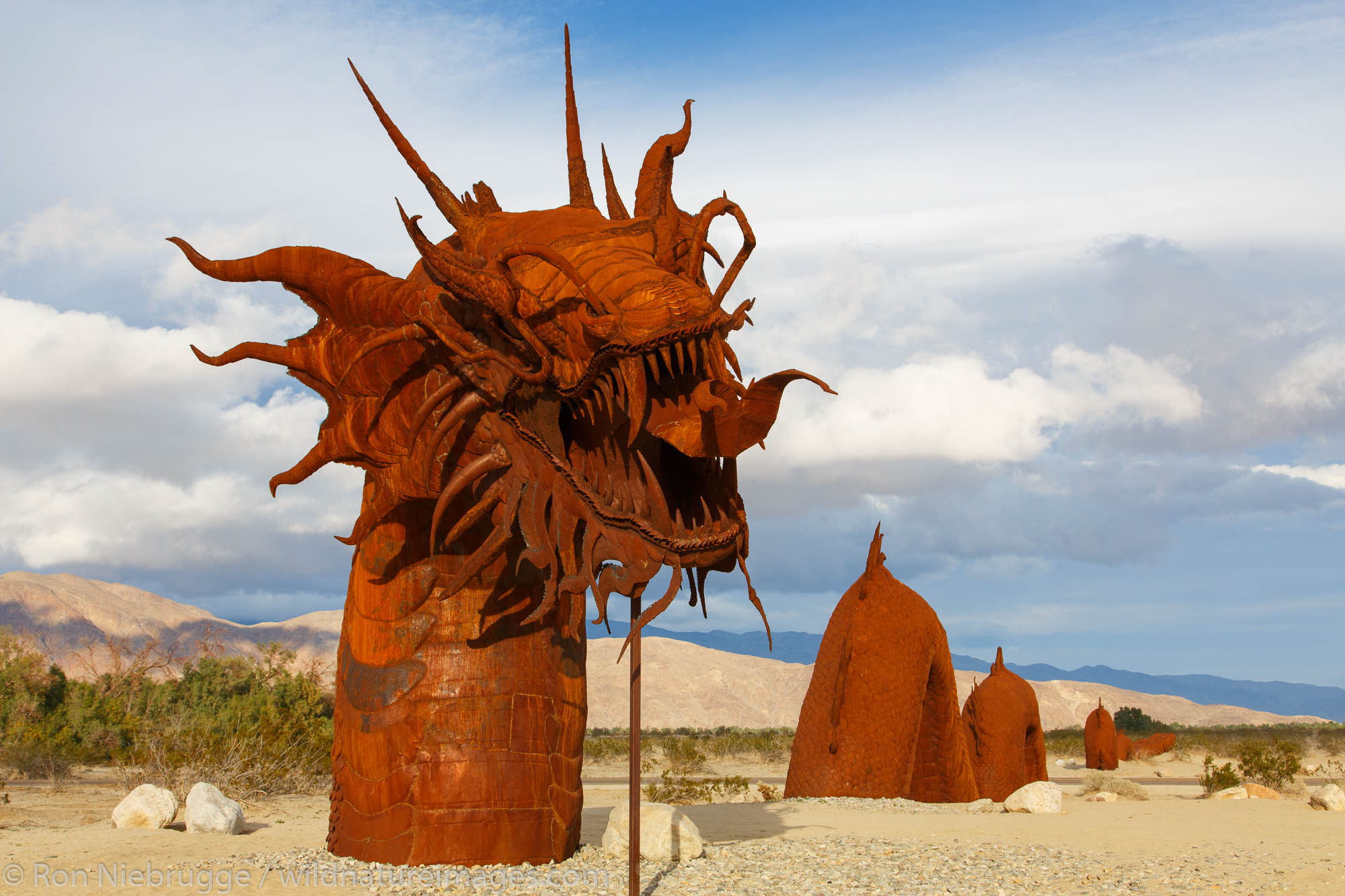 statue Borrego Springs, California Photos by Ron Niebrugge