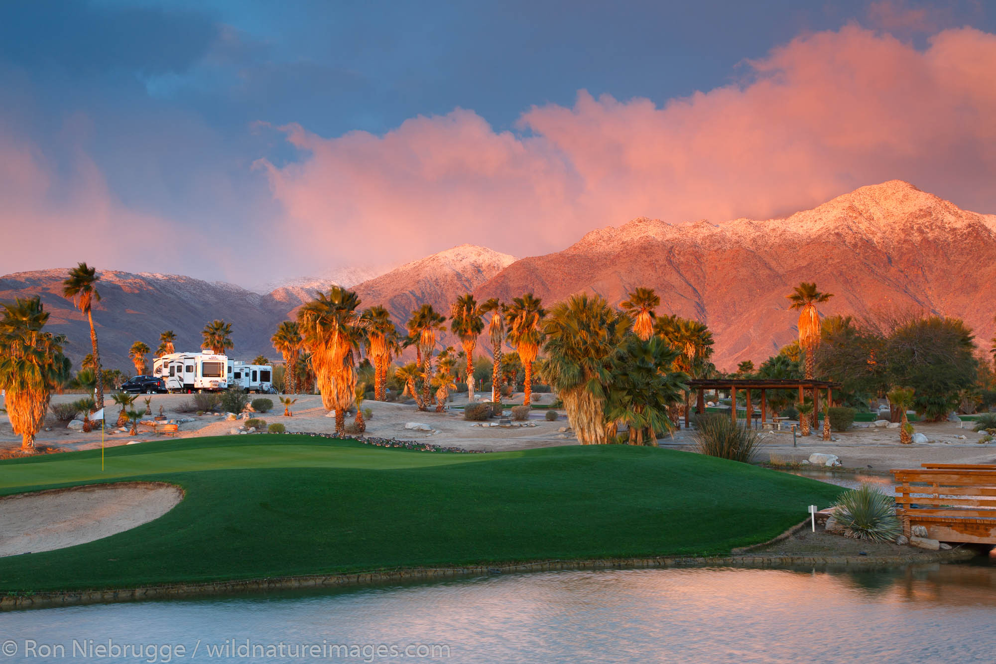 Springs at Borrego RV Resort, Borrego Springs, Anza-Borrego Desert State Park, California.