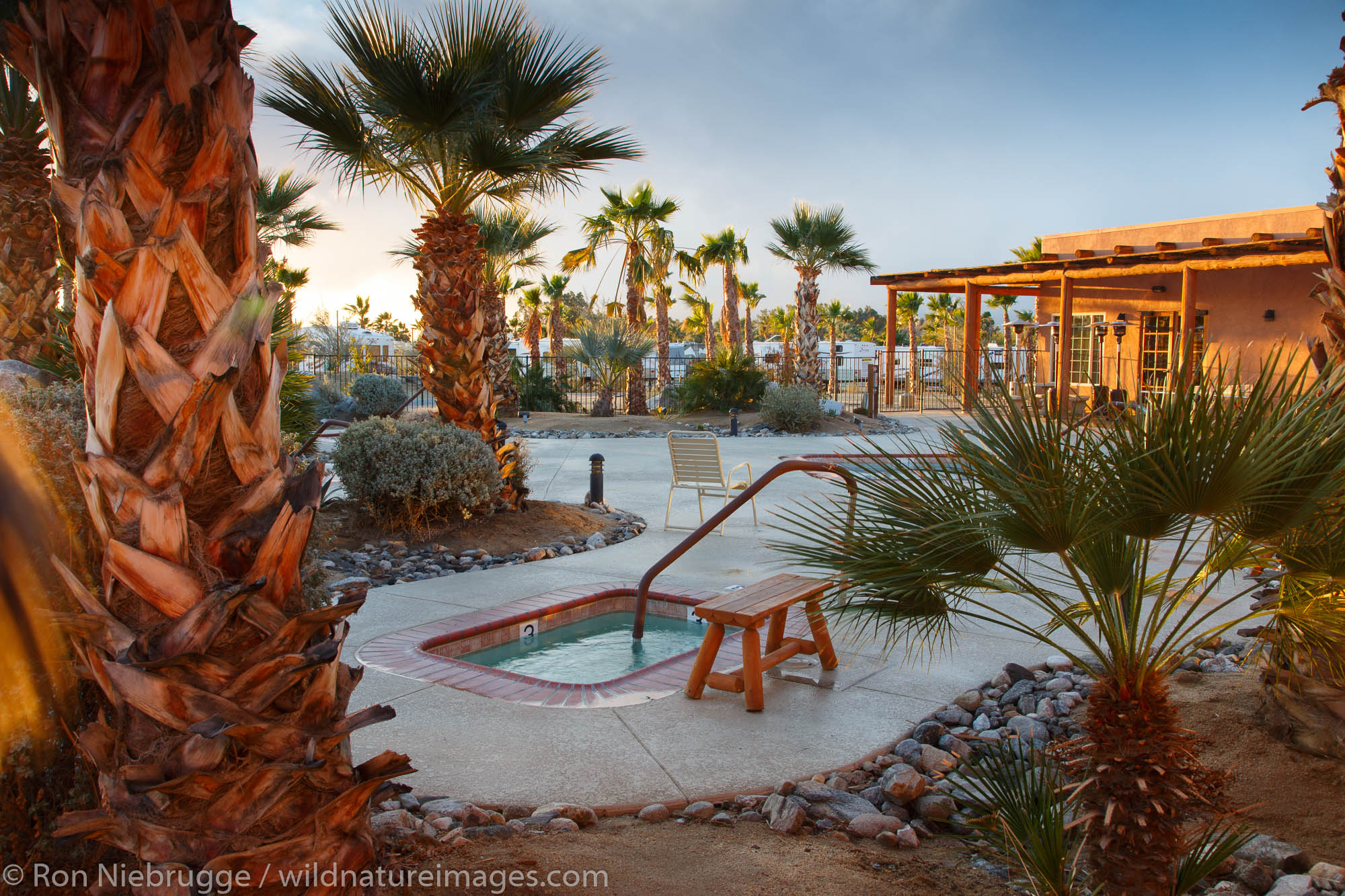 Springs at Borrego RV Resort, Borrego Springs, Anza-Borrego Desert State Park, California.